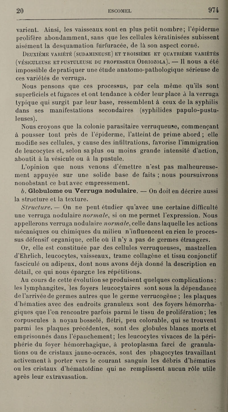 varient. Ainsi, les vaisseaux sont en plus petit nombre; l’épiderme prolifère abondamment, sans que les cellules kératinisées subissent aisément la desquamation furfuracée, de là son aspect corné. Deuxième variété (sudamineuse) et troisième et quatrième variétés (vÉSICULEUSE ET PUSTULEUSE DU PROEESSEUR OdRIOZOLA). — Il nOUS a été impossible de pratiquer une étude anatomo-pathologique sérieuse de ces variétés de verruga. Nous pensons que ces processus, par cela même qu’ils sont superficiels et fugaces et ont tendance à céder leur place à la verruga typique qui surgit par leur base, ressemblent à ceux de la syphilis dans ses manifestations secondaires (syphilides papulo-pustu- leuses). Nous croyons que la colonie parasitaire verruqueuse, commençant à pousser tout près de l’épiderme, l’atteint de prime abord ; elle modifie ses cellules, y cause des infiltrations, favorise l’immigration de leucocytes et, selon sa plus ou moins grande intensité d’action, aboutit à la vésicule ou à la pustule. L’opinion que nous venons d’émettre n’est pas malheureuse¬ ment appuyée sur une solide base de faits ; nous poursuivrons nonobstant ce but avec empressement. b. Globulome ou Verruga nodulaire. — On doit en décrire aussi la structure et la texture. Structure. — On ne peut étudier qu’avec une certaine difficulté une verruga nodulaire normale, si on me permet l’expression. Nous appellerons verruga nodulaire normale, celle dans laquelle les actions mécaniques ou chimiques du milieu n’influencent en rien le proces¬ sus défensif organique, celle où il n’y a pas de germes étrangers. Or, elle est constituée par des cellules verruqueuses, mastzellen d’Ehrlich, leucocytes, vaisseaux, trame collagène et tissu conjonctif fasciculé ou adipeux, dont nous avons déjà donné la description en détail, ce qui nous épargne les répétitions. Au cours de cette évolution se produisent quelques complications : les lymphangites, les foyers leucocytaires sont sous la dépendance de l’arrivée de germes autres que le germe verrucogène ; les plaques d’hématies avec des endroits granuleux sont des foyers hémorrha¬ giques que l’on rencontre parfois parmi le tissu de prolifération; les corpuscules à noyau bosselé, flétri, peu colorable, qui se trouvent parmi les plaques précédentes, sont des globules blancs morts et emprisonnés dans l’épanchement; les leucocytes vivaces de la péri¬ phérie du foyer hémorrhagique, à protoplasma farci de granula¬ tions ou de cristaux jaune-ocracés, sont des phagocytes travaillant activement à porter vers le courant sanguin les débris d’hématies ou les cristaux d’hématoïdine qui ne remplissent aucun rôle utile après leur extravasation.