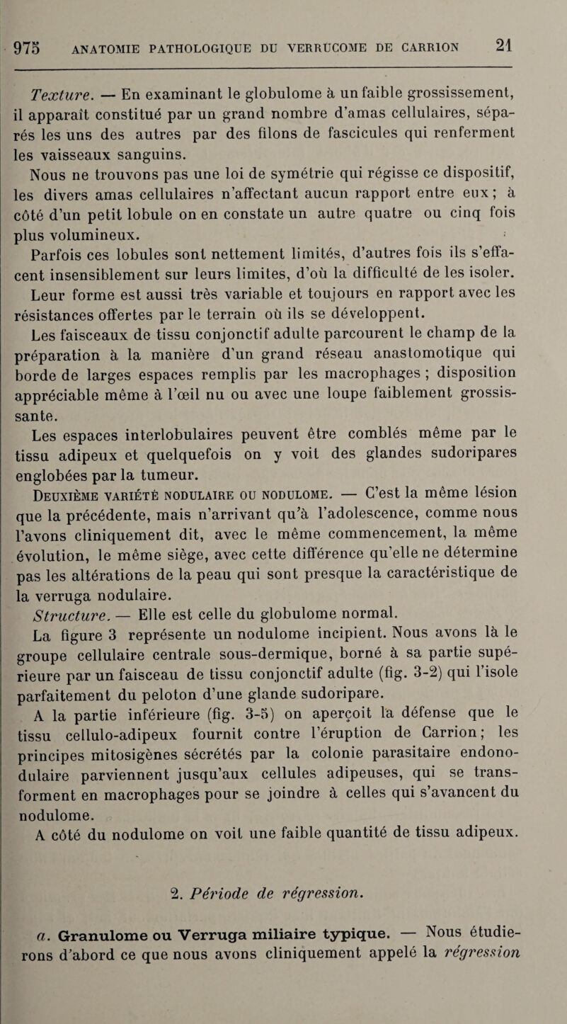 Texture. — En examinant le globulome à un faible grossissement, il apparaît constitué par un grand nombre d’amas cellulaires, sépa¬ rés les uns des autres par des filons de fascicules qui renferment les vaisseaux sanguins. Nous ne trouvons pas une loi de symétrie qui régisse ce dispositif, les divers amas cellulaires n’affectant aucun rapport entre eux ; à côté d’un petit lobule on en constate un autre quatre ou cinq fois plus volumineux. Parfois ces lobules sont nettement limités, d’autres fois ils s’effa¬ cent insensiblement sur leurs limites, d’où la difficulté de les isoler. Leur forme est aussi très variable et toujours en rapport avec les résistances offertes par le terrain où ils se développent. Les faisceaux de tissu conjonctif adulte parcourent le champ de la préparation à la manière d’un grand réseau anastomotique qui borde de larges espaces remplis par les macrophages ; disposition appréciable même à l’œil nu ou avec une loupe faiblement grossis¬ sante. Les espaces interlobulaires peuvent être comblés même par le tissu adipeux et quelquefois on y voit des glandes sudoripares englobées par la tumeur. Deuxième variété nodulaire ou nodulome. — C’est la même lésion que la précédente, mais n’arrivant qu’à l’adolescence, comme nous l’avons cliniquement dit, avec le même commencement, la même évolution, le même siège, avec cette différence qu’elle ne détermine pas les altérations de la peau qui sont presque la caractéristique de la verruga nodulaire. Structure. — Elle est celle du globulome normal. La figure 3 représente un nodulome incipient. Nous avons là le groupe cellulaire centrale sous-dermique, borné à sa partie supé¬ rieure par un faisceau de tissu conjonctif adulte (fig. 3-2) qui l’isole parfaitement du peloton d’une glande sudoripare. A la partie inférieure (fig. 3-5) on aperçoit la défense que le tissu cellulo-adipeux fournit contre l’éruption de Carrion ; les principes mitosigènes sécrétés par la colonie parasitaire endono- dulaire parviennent jusqu’aux cellules adipeuses, qui se trans¬ forment en macrophages pour se joindre à celles qui s’avancent du nodulome. A côté du nodulome on voit une faible quantité de tissu adipeux. 2. Période de régression. a. Granulome ou Verruga miliaire typique. — Nous étudie¬ rons d’abord ce que nous avons cliniquement appelé la régression