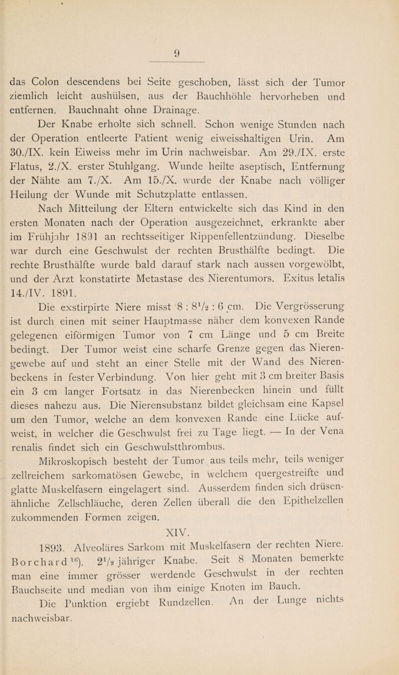 das Colon descendens bei Seite geschoben, lässt sich der Tumor ziemlich leicht aushiilsen, aus der Bauchhöhle hervorheben und entfernen. Bauchnaht ohne Drainage. Der Knabe erholte sich schnell. Schon wenige Stunden nach der Operation entleerte Patient wenig eiweisshaltigen Urin. Am 30./IX. kein Eiweiss mehr im Urin nachweisbar. Am 29./IX. erste Flatus, 2./X. erster Stuhlgang. Wunde heilte aseptisch, Entfernung der Nähte am 7./X. Am 15./X. wurde der Knabe nach völliger Heilung der Wunde mit Schutzplatte entlassen. Nach Mitteilung der Eltern entwickelte sich das Kind in den ersten Monaten nach der Operation ausgezeichnet, erkrankte aber im Frühjahr 1891 an rechtsseitiger Rippenfellentzündung. Dieselbe war durch eine Geschwulst der rechten Brusthälfte bedingt. Die rechte Brusthälfte wurde bald darauf stark nach aussen vorgewölbt, und der Arzt konstatirte Metastase des Nierentumors. Exitus letalis 14./IV. 1891. Die exstirpirte Niere misst 8 : 8Va : 6 cm. Die Vergrösserung ist durch einen mit seiner Hauptmasse näher dem konvexen Rande gelegenen eiförmigen Tumor von 7 cm Länge und 5 cm Breite bedingt. Der Tumor weist eine scharfe Grenze gegen das Nieren¬ gewebe auf und steht an einer Stelle mit der Wand des Nieren¬ beckens in fester Verbindung. Von hier geht mit 3 cm breiter Basis ein 3 cm langer P'ortsatz in das Nierenbecken hinein und lüllt dieses nahezu aus. Die Nierensubstanz bildet gleichsam eine Kapsel um den Tumor, welche an dem konvexen Rande eine Lücke auf¬ weist, in welcher die Geschwulst frei zu läge liegt. — In der Vena renalis findet sich ein Geschwulstthrombus. Mikroskopisch besteht der Tumor aus teils mehr, teils weniger zellreichem sarkomatösen Gewebe, in welchem quergestreifte und glatte Muskelfasern eingelagert sind. Ausserdem finden sich drüsen¬ ähnliche Zellschläuche, deren Zellen überall die den Epithelzellen zukommenden Formen zeigen. XIV. 1893. Alveoläres Sarkom mit Muskelfasern der i echten Nieie. Borchard16). 2Vs jähriger Knabe. Seit 8 Monaten bemerkte man eine immer grösser werdende Geschwulst in der rechten Bauchseite und median von ihm einige Knoten im Bauch. Die Punktion ergiebt Rundzellen. An der Lunge nichts nachweisbar.