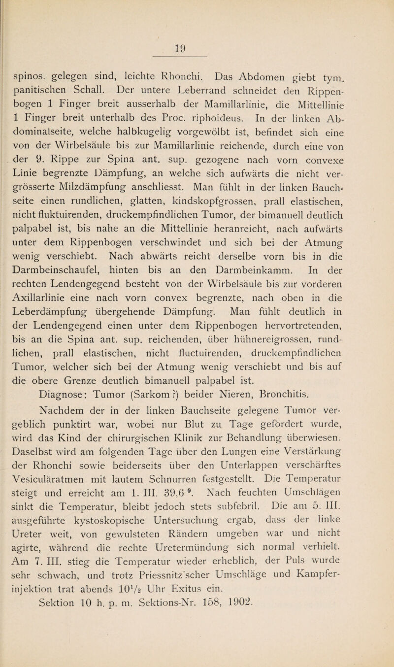 spinös, gelegen sind, leichte Rhonchi. Das Abdomen giebt tym_ panitischen Schall. Der untere Leberrand schneidet den Rippen¬ bogen 1 Finger breit ausserhalb der Mamillarlinie, die Mittellinie 1 Finger breit unterhalb des Proc. riphoideus. In der linken Ab- dominalseite, welche halbkugelig vorgewölbt ist, befindet sich eine von der Wirbelsäule bis zur Mamillarlinie reichende, durch eine von der 9. Rippe zur Spina ant. sup. gezogene nach vorn convexe Linie begrenzte Dämpfung, an welche sich aufwärts die nicht ver- grösserte Milzdämpfung anschliesst. Man fühlt in der linken Bauch* Seite einen rundlichen, glatten, kindskopfgrossen, prall elastischen, nicht fluktuirenden, druckempfindlichen Tumor, der bimanuell deutlich palpabel ist, bis nahe an die Mittellinie heranreicht, nach aufwärts unter dem Rippenbogen verschwindet und sich bei der Atmung wenig verschiebt. Nach abwärts reicht derselbe vorn bis in die Darmbeinschaufel, hinten bis an den Darmbeinkamm. In der rechten Lendengegend besteht von der Wirbelsäule bis zur vorderen Axillarlinie eine nach vorn convex begrenzte, nach oben in die Leberdämpfung übergehende Dämpfung. Man fühlt deutlich in der Lendengegend einen unter dem Rippenbogen hervortretenden, bis an die Spina ant. sup. reichenden, über hühnereigrossen, rund¬ lichen, prall elastischen, nicht fluctuirenden, druckempfindlichen Tumor, welcher sich bei der Atmung wenig verschiebt und bis auf die obere Grenze deutlich bimanuell palpabel ist. Diagnose: Tumor (Sarkom?) beider Nieren, Bronchitis. Nachdem der in der linken Bauchseite gelegene Tumor ver¬ geblich punktirt war, wobei nur Blut zu Tage gefördert wurde, wird das Kind der chirurgischen Klinik zur Behandlung überwiesen. Daselbst wird am folgenden Tage über den Lungen eine Verstärkung der Rhonchi sowie beiderseits über den Unterlappen verschärftes Vesiculäratmen mit lautem Schnurren festgestellt. Die Temperatur steigt und erreicht am 1. III. 39,6 ®. Nach feuchten Umschlägen sinkt die Temperatur, bleibt jedoch stets subfebril. Die am 5. III. ausgeführte kystoskopische Untersuchung ergab, dass der linke Ureter weit, von gewulsteten Rändern umgeben war und nicht agirte, während die rechte Uretermündung sich normal verhielt. Am 7. III. stieg die Temperatur wieder erheblich, der Puls wurde sehr schwach, und trotz Priessnitz’scher Umschläge und Kampfer¬ injektion trat abends 10l/2 Uhr Exitus ein. Sektion 10 h. p. m. Sektions-Nr. 158, 1902.