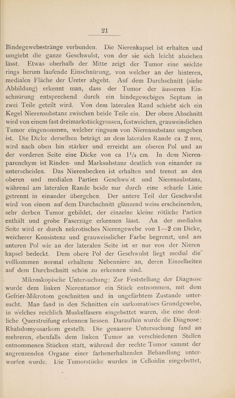 Bindegewebsstränge verbunden. Die Nierenkapsel ist erhalten und umgiebt die ganze Geschwulst, von der sie sich leicht abziehen lässt. Etwas oberhalb der Mitte zeigt der Tumor eine seichte rings herum laufende Einschnürung, von welcher an der hinteren, medialen Eläche der Ureter abgeht. Auf dem Durchschnitt (siehe Abbildung) erkennt man, dass der Tumor der äusseren Ein¬ schnürung entsprechend durch ein bindegewebiges Septum in zwei Teile geteilt wird. Von dem lateralen Rand schiebt sich ein Kegel Nierensubstanz zwischen beide Teile ein. Der obere Abschnitt wird von einem fast dreimarkstückgrossen, festweichen, grauweisslichen Tumor eingenommen, welcher ringsum von Nierensubstanz umgeben ist. Die Dicke derselben beträgt an dem lateralen Rande ca. 2 mm, wird nach oben hin stärker und erreicht am oberen Pol und an der vorderen Seite eine Dicke von ca P/2 cm. In dem Nieren¬ parenchym ist Rinden- und Marksubstanz deutlich von einander zu unterscheiden. Das Nierenbecken ist erhalten und trennt an den oberen und medialen Partien Geschwu'st und Nierensubstanz, während am lateralen Rande beide nur durch eine scharfe Linie getrennt in einander übergehen. Der untere Teil der Geschwulst wird von einem auf dem Durchschnitt glänzend weiss erscheinenden, sehr derben Tumor gebildet, der einzelne kleine rötliche Partien enthält und grobe Faserzüge erkennen lässt. An der medialen Seite wird er durch nekrotisches Nierengewebe von 1 — 2 cm Dicke, weicherer Konsistenz und grauweisslicher Farbe begrenzt, und am unteren Pol wie an der lateralen Seite ist er nur von der Nieren kapsel bedeckt. Dem obere Pol der Geschwulst liegt medial die vollkommen normal erhaltene Nebenniere an, deren Einzelheiten auf dem Durchschnitt schön zu erkennen sind. Mikroskopische Untersuchung: Zur Feststellung der Diagnose wurde dem linken Nierentumor ein Stück entnommen, mit dem Gefrier-Mikrotom geschnitten und in ungefärbtem Zustande unter¬ sucht. Man fand in den Schnitten ein sarkomatöses Grundgewebe, in welches reichlich Muskelfasern eingebettet waren, die eine deut¬ liche Ouerstreifung erkennen liessen. Daraufhin wurde die Diagnose: Rhabdomyosarkom gestellt. Die genauere Untersuchung fand an mehreren, ebenfalls dem linken Tumor an verschiedenen Stellen entnommenen Stücken statt, während der rechte Tumor sammt der angrenzenden Organe einer farbenerhaltenden Behandlung unter¬ worfen wurde. Die Tumorstücke wurden in Celloidin eingebettet,