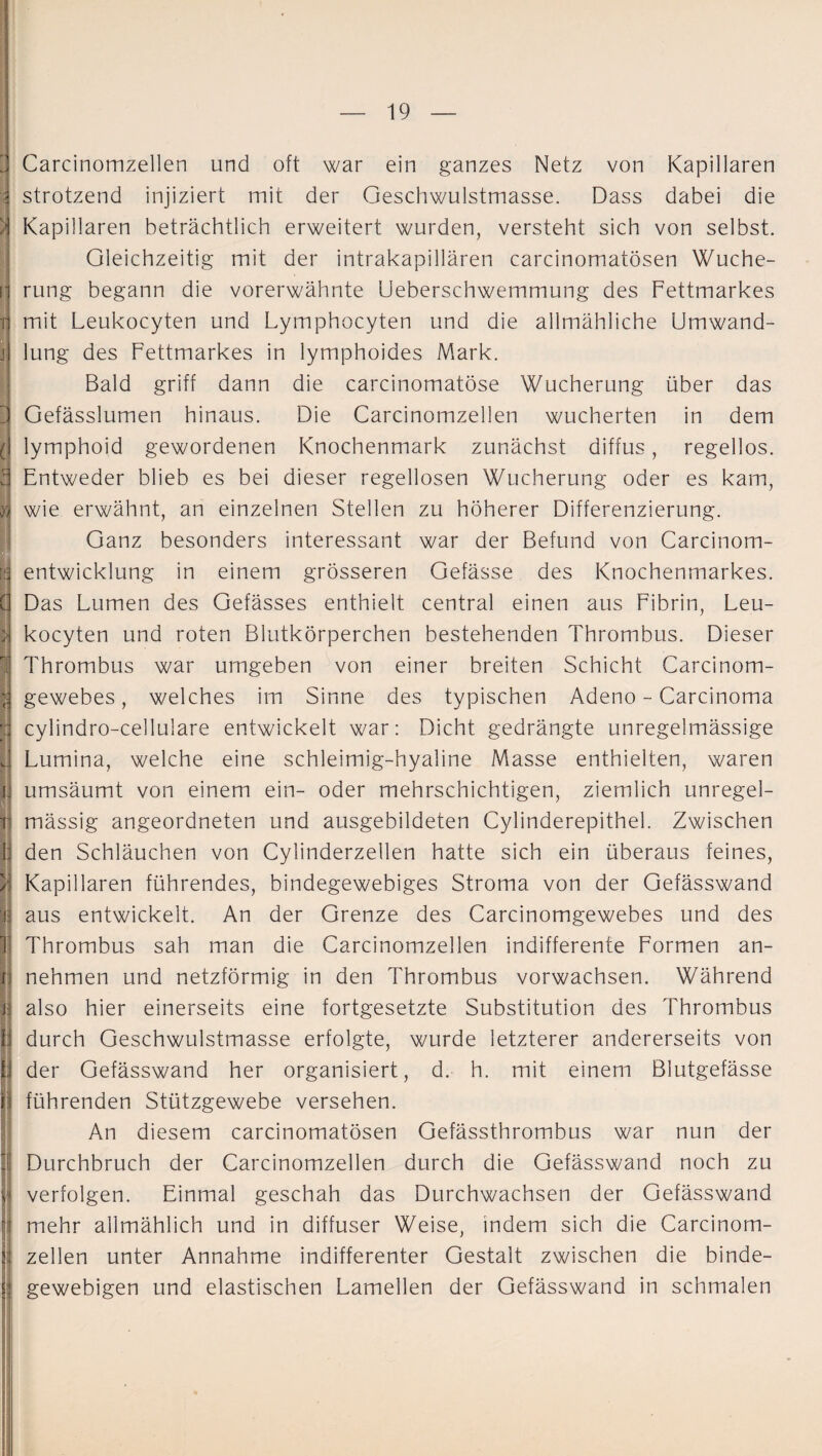 Carcinomzellen und oft war ein ganzes Netz von Kapillaren strotzend injiziert mit der Geschwulstmasse. Dass dabei die Kapillaren beträchtlich erweitert wurden, versteht sich von selbst. Gleichzeitig mit der intrakapillären carcinomatösen Wuche¬ rung begann die vorerwähnte Ueberschwemmung des Fettmarkes mit Leukocyten und Lymphocyten und die allmähliche Umwand¬ lung des Fettmarkes in lymphoides Mark. Bald griff dann die carcinomatöse Wucherung über das Gefässlumen hinaus. Die Carcinomzellen wucherten in dem lymphoid gewordenen Knochenmark zunächst diffus, regellos. Entweder blieb es bei dieser regellosen Wucherung oder es kam, wie erwähnt, an einzelnen Stellen zu höherer Differenzierung. Ganz besonders interessant war der Befund von Carcinom- entwicklung in einem grösseren Gefässe des Knochenmarkes. Das Lumen des Gefässes enthielt central einen aus Fibrin, Leu¬ kocyten und roten Blutkörperchen bestehenden Thrombus. Dieser Thrombus war umgeben von einer breiten Schicht Carcinom- gewebes, welches im Sinne des typischen Adeno - Carcinoma cylindro-celluiare entwickelt war: Dicht gedrängte unregelmässige Lumina, welche eine schleimig-hyaline Masse enthielten, waren umsäumt von einem ein- oder mehrschichtigen, ziemlich unregel¬ mässig angeordneten und ausgebildeten Cylinderepithel. Zwischen den Schläuchen von Cylinderzellen hatte sich ein überaus feines, Kapillaren führendes, bindegewebiges Stroma von der Gefässwand aus entwickelt. An der Grenze des Carcinomgewebes und des Thrombus sah man die Carcinomzellen indifferente Formen an¬ nehmen und netzförmig in den Thrombus vorwachsen. Während also hier einerseits eine fortgesetzte Substitution des Thrombus durch Geschwulstmasse erfolgte, wurde letzterer andererseits von der Gefässwand her organisiert, d. h. mit einem Blutgefässe führenden Stützgewebe versehen. An diesem carcinomatösen Gefässthrombus war nun der Durchbruch der Carcinomzellen durch die Gefässwand noch zu verfolgen. Einmal geschah das Durchwachsen der Gefässwand mehr allmählich und in diffuser Weise, indem sich die Carcinom¬ zellen unter Annahme indifferenter Gestalt zwischen die binde¬ gewebigen und elastischen Lamellen der Gefässwand in schmalen