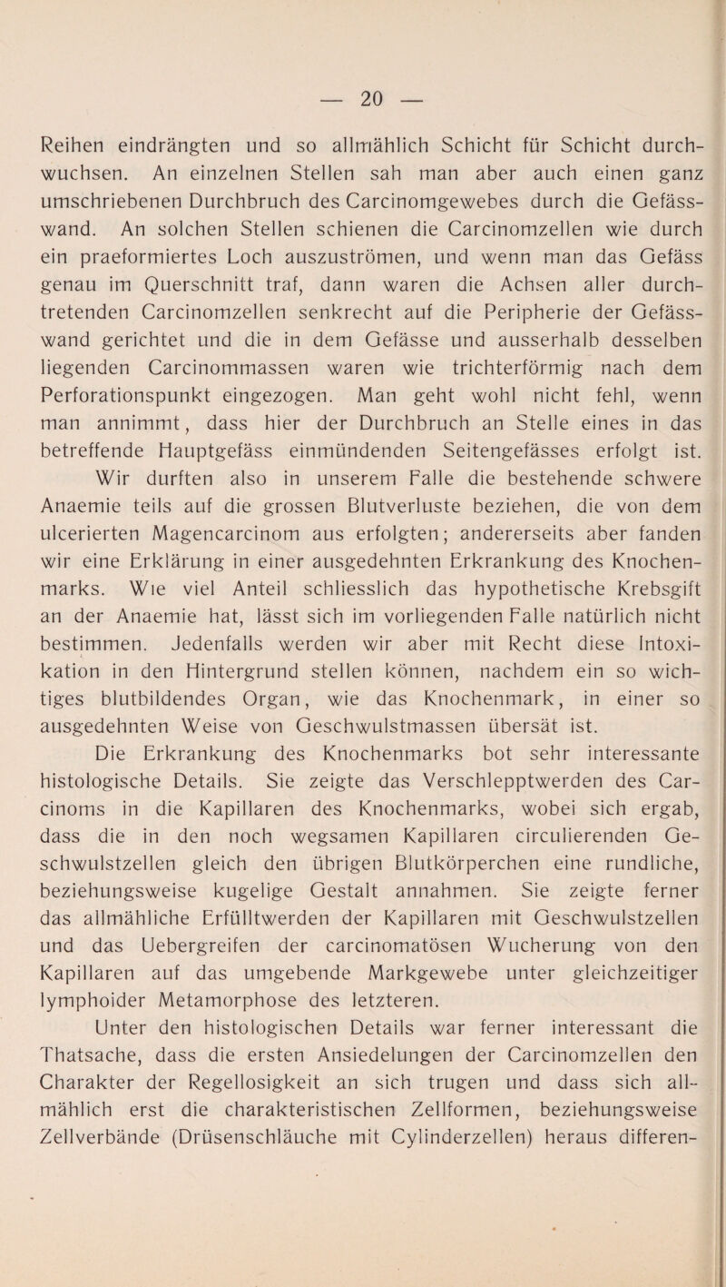 Reihen eindrängten und so allmählich Schicht für Schicht durch¬ wuchsen. An einzelnen Stellen sah man aber auch einen ganz umschriebenen Durchbruch des Carcinomgewebes durch die Gefäss- wand. An solchen Stellen schienen die Carcinomzellen wie durch ein praeformiertes Loch auszuströmen, und wenn man das Gefäss genau im Querschnitt traf, dann waren die Achsen aller durch¬ tretenden Carcinomzellen senkrecht auf die Peripherie der Gefäss- wand gerichtet und die in dem Gefässe und ausserhalb desselben liegenden Carcinommassen waren wie trichterförmig nach dem Perforationspunkt eingezogen. Man geht wohl nicht fehl, wenn man annimmt, dass hier der Durchbruch an Stelle eines in das betreffende Hauptgefäss einmündenden Seitengefässes erfolgt ist. Wir durften also in unserem Falle die bestehende schwere Anaemie teils auf die grossen Blutverluste beziehen, die von dem ulcerierten Magencarcinom aus erfolgten; andererseits aber fanden wir eine Erklärung in einer ausgedehnten Erkrankung des Knochen¬ marks. Wie viel Anteil schliesslich das hypothetische Krebsgift an der Anaemie hat, lässt sich im vorliegenden Falle natürlich nicht bestimmen. Jedenfalls werden wir aber mit Recht diese Intoxi¬ kation in den Hintergrund stellen können, nachdem ein so wich¬ tiges blutbildendes Organ, wie das Knochenmark, in einer so ausgedehnten Weise von Geschwulstmassen übersät ist. Die Erkrankung des Knochenmarks bot sehr interessante histologische Details. Sie zeigte das Verschlepptwerden des Car- cinoms in die Kapillaren des Knochenmarks, wobei sich ergab, dass die in den noch wegsamen Kapillaren circulierenden Ge¬ schwulstzellen gleich den übrigen Blutkörperchen eine rundliche, beziehungsweise kugelige Gestalt annahmen. Sie zeigte ferner das allmähliche Erfülltwerden der Kapillaren mit Geschwulstzellen und das Uebergreifen der carcinomatösen Wucherung von den Kapillaren auf das umgebende Markgewebe unter gleichzeitiger lymphoider Metamorphose des letzteren. Unter den histologischen Details war ferner interessant die Thatsache, dass die ersten Ansiedelungen der Carcinomzellen den Charakter der Regellosigkeit an sich trugen und dass sich all¬ mählich erst die charakteristischen Zellformen, beziehungsweise Zellverbände (Drüsenschläuche mit Cylinderzellen) heraus differen-