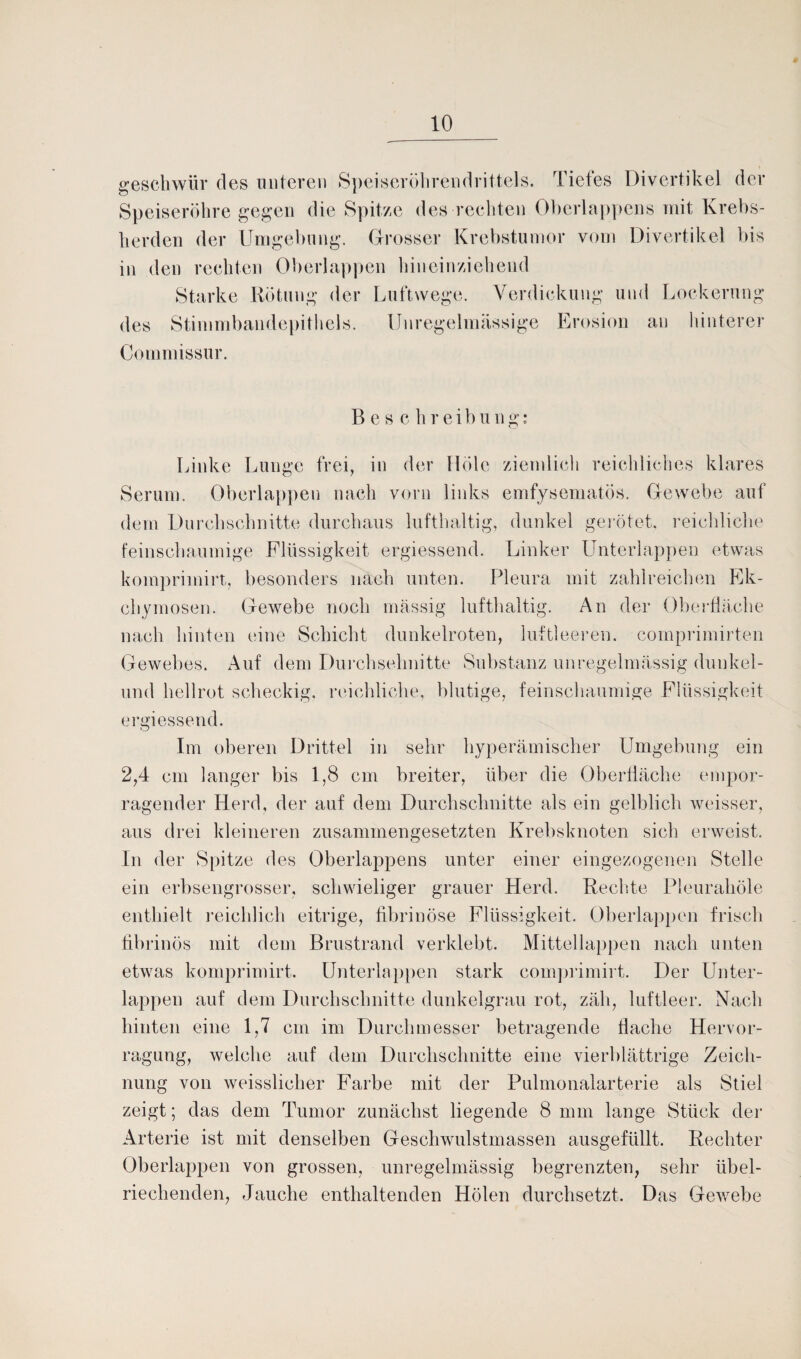 geschwür des unteren Speiseröhrendrittels. Tiefes Divertikel der Speiseröhre gegen die Spitze des rechten Oberlappens mit Krebs¬ herden der Umgebung. Grosser Krebstumor vom Divertikel bis in den rechten Oberlappen hineinziehend Starke Rötung der Luftwege. Verdickung und Lockerung des Stimmbandepithels. Unregelmässige Erosion an hinterer Commissur. Beschreibung: Linke Lunge frei, in der Hole ziemlich reichliches klares Serum. Oberlappen nach vorn links emfysernatös. Gewebe auf dem Durchschnitte durchaus lufthaltig, dunkel gerötet, reichliche feinschaumige Flüssigkeit ergiessend. Linker Unterlappen etwas komprimirt, besonders nach unten. Pleura mit zahlreichen Ek- chymosen. Gewebe noch massig lufthaltig. An der Oberfläche nach hinten eine Schicht dunkelroten, luftleeren, comprimirten Gewebes. Auf dem Durchschnitte Substanz unregelmässig dunkel- und hellrot scheckig, reichliche, blutige, feinschaumige Flüssigkeit ergiessend. Im oberen Drittel in sehr hyperämischer Umgebung ein 2,4 cm langer bis 1,8 cm breiter, über die Oberfläche empor¬ ragender Herd, der auf dem Durchschnitte als ein gelblich weisser, aus drei kleineren zusammengesetzten Krebsknoten sich erweist. In der Spitze des Oberlappens unter einer eingezogenen Stelle ein erbsengrosser, schwieliger grauer Herd. Rechte Pleurahöle enthielt reichlich eitrige, fibrinöse Flüssigkeit. Oberlappen frisch fibrinös mit dem Brustrand verklebt. Mittellappen nach unten etwas komprimirt. Unterlappen stark comprimirt. Der Unter¬ lappen auf dem Durchschnitte dunkelgrau rot, zäh, luftleer. Nach hinten eine 1,7 cm im Durchmesser betragende flache Hervor- ragung, welche auf dem Durchschnitte eine vierblättrige Zeich¬ nung von weisslicher Farbe mit der Pulmonalarterie als Stiel zeigt; das dem Tumor zunächst liegende 8 mm lange Stück der Arterie ist mit denselben Geschwulstmassen ausgefüllt. Rechter Oberlappen von grossen, unregelmässig begrenzten, sehr übel¬ riechenden, Jauche enthaltenden Holen durchsetzt. Das Gev/ebe