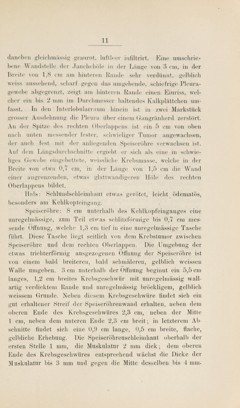 daneben gleicbraässig granrot, luftleer infiltrirt. Eine umschrie¬ bene Wandstelle der Jaucheböle in der Länge von 3 cm, in der Breite von 1,8 cm am hinteren Rande sehr verdünnt, gelblich weiss aussehend, scharf gegen das umgebende, schiefrige Pleura¬ gewebe abgegrenzt, zeigt am hinteren Rande einen Einriss, wel¬ cher ein bis 2 mm im Durchmesser haltendes Kalkplättchen um¬ fasst. In den Interlobularraum hinein ist in zwei Markstück grosser Ausdehnung die Pleura über einem Gangränherd zerstört. An der Spitze des rechten Oberlappens ist ein 5 cm von oben nach unten messender fester, schwieliger Tumor angewachsen, der auch fest mit der anliegenden Speiseröhre verwachsen ist. Auf dem Längsdurchschnitte ergiebt er sich als eine in schwie¬ liges Gewebe eingebettete, weissliche Krebsmasse, welche in der Breite von etwa 0,7 cm, in der Länge von 1,5 cm die Wand einer angrenzenden, etwas glattwandigeren Hole des rechten Oberlappens bildet. Hals: Schlundschleimhaut etwas gerötet, leicht ödematös, besonders am Kehlkopteingang. Speiseröhre: 8 cm unterhalb des Kehlkopfeinganges eine unregelmässige, zum Teil etwas schlitzförmige bis 0,7 cm mes¬ sende Öffnung, welche 1,3 cm tief in eine unregelmässige Tasche führt. Diese Tasche liegt seitlich von dem Krebstumor zwischen Speiseröhre und dem rechten überlappen. Die Umgebung der etwas trichterförmig ausgezogenen Öffnung der Speiseröhre ist von einem bald breiteren, bald schmäleren, gelblich weissen Walle umgeben. 3 cm unterhalb der Öffnung beginnt ein 5,5 cm langes, 1,2 cm breites Krebsgeschwür mit unregelmässig wall- artig verdicktem Rande und unregelmässig bröckligem, gelblich weissem Grunde. Neben diesem Krebsgeschwüre findet sich ein gut erhaltener Streif der Speiseröhrenwand erhalten, neben dem oberen Ende des Krebsgeschwüres 2,3 cm, neben der Mitte 1 cm, neben dem unteren Ende 2,3 cm breit; in letzterem Ab¬ schnitte findet sich eine 0,9 cm lange, 0,5 cm breite, flache, gelbliche Erhebung. Die Speiseröhreuschleimhaut oberhalb der ersten Stelle 1 mm, die Muskulatur 2 mm dick; dem oberen Ende des Krebsgeschwüres entsprechend wächst die Dicke der Muskulatur bis 3 mm und gegen die Mitte desselben bis 4 mm.