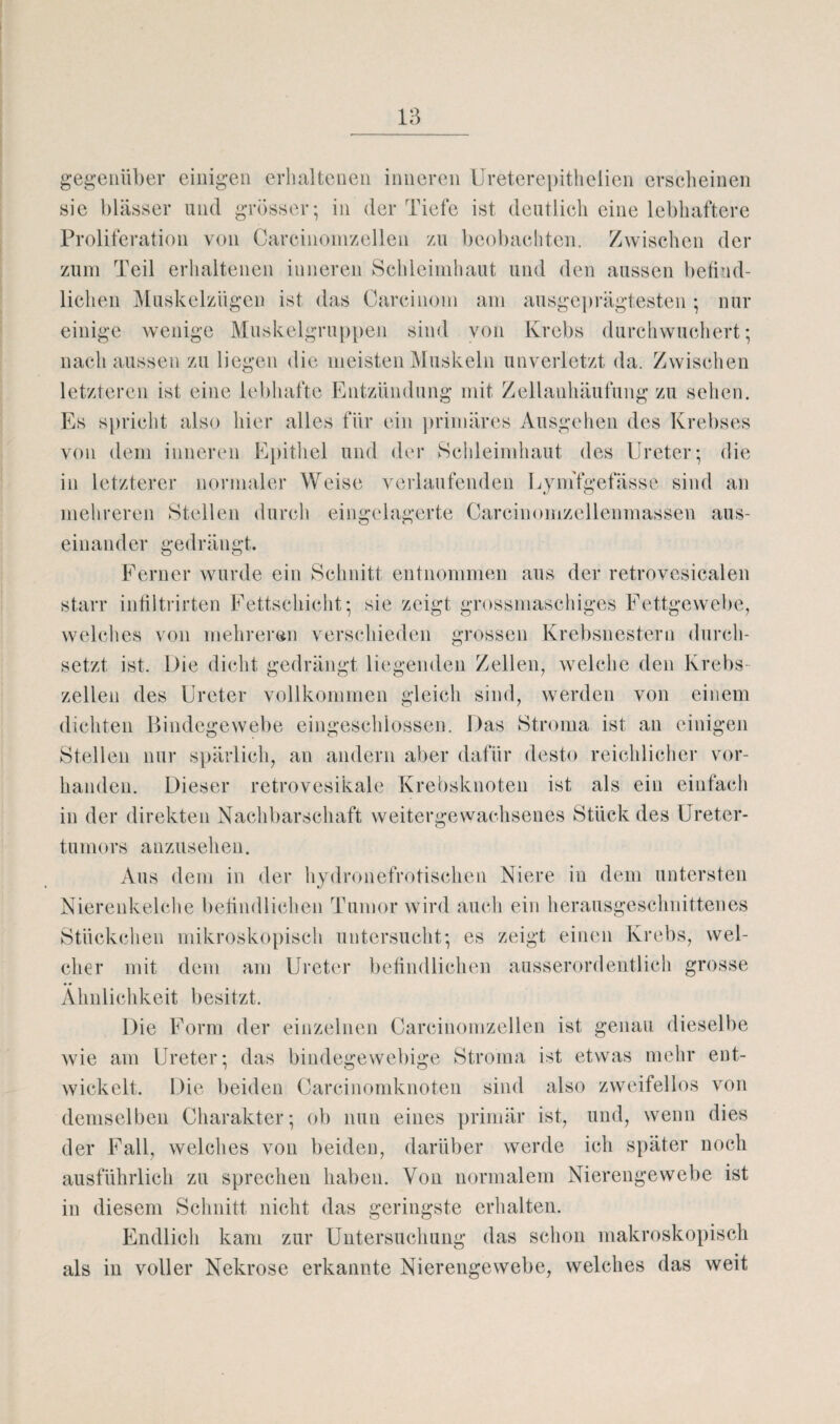 gegenüber einigen erhaltenen inneren Ureterepithelien erscheinen sic blässer und grosser- in der Tiefe ist deutlich eine lebhaftere Proliferation von Careinomzellen zu beobachten. Zwischen der zum Teil erhaltenen inneren Schleimhaut und den aussen befind¬ lichen Muskelzügen ist das Carcinom am ausgeprägtesten nur einige wenige Muskelgruppen sind von Krebs durchwuchert; nach aussen zu liegen die meisten Muskeln unverletzt da. Zwischen letzteren ist eine lebhafte Entzündung mit Zellanhäufung zu sehen. Es spricht also hier alles für ein primäres Ausgehen des Krebses von dem inneren Epithel und der Schleimhaut des Ureter; die in letzterer normaler Weise verlaufenden Lymfgefässc sind an mehreren Stellen durch eingelagerte Carcinomzellenmassen aus¬ einander gedrängt. Ferner wurde ein Schnitt entnommen aus der retrovcsicalen starr infiltrirten Fettschicht; sie zeigt grossmaschiges Fettgewebe, welches von mehreren verschieden grossen Krebsnestern durch¬ setzt ist. Die dicht gedrängt liegenden Zellen, welche den Krebs zellen des Ureter vollkommen gleich sind, werden von einem dichten Bindegewebe eingeschlossen. Das Stroma ist an einigen Stellen nur spärlich, an andern aber dafür desto reichlicher vor¬ handen. Dieser retrovesikale Krebsknoten ist als ein einfach in der direkten Nachbarschaft weitergewachsenes Stück des Ureter¬ tumors anzusehen. Aus dem in der hydronefrotischen Niere in dem untersten Nierenkelche befindlichen Tumor wird auch ein herausgeschnittenes Stückchen mikroskopisch untersucht; es zeigt einen Krebs, wel¬ cher mit dem am Ureter befindlichen ausserordentlich grosse Ähnlichkeit besitzt. Die Form der einzelnen Careinomzellen ist genau dieselbe wie am Ureter; das bindegewebige Stroma ist etwas mehr ent¬ wickelt. Die beiden Carcinomknoten sind also zweifellos von demselben Charakter; ob nun eines primär ist, und, wenn dies der Fall, welches von beiden, darüber werde ich später noch ausführlich zu sprechen haben. Von normalem Nierengewebe ist in diesem Schnitt nicht das geringste erhalten. Endlich kam zur Untersuchung das schon makroskopisch als in voller Nekrose erkannte Nierengewebe, welches das weit