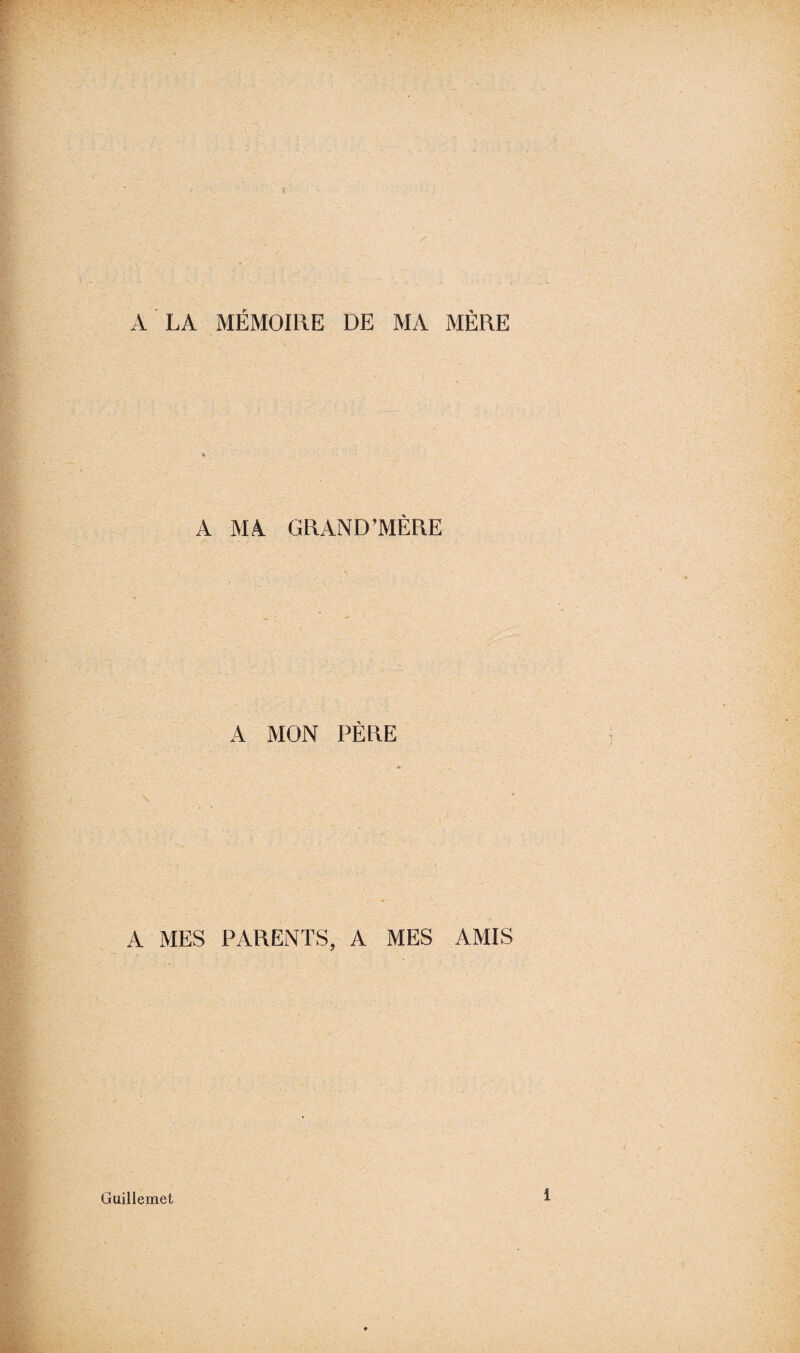 ✓ A LA MÉMOIRE DE MA MÈRE A M4 GRAND’MÈRE A MON PÈRE A MES PARENTS, A MES AMIS Guillemet i