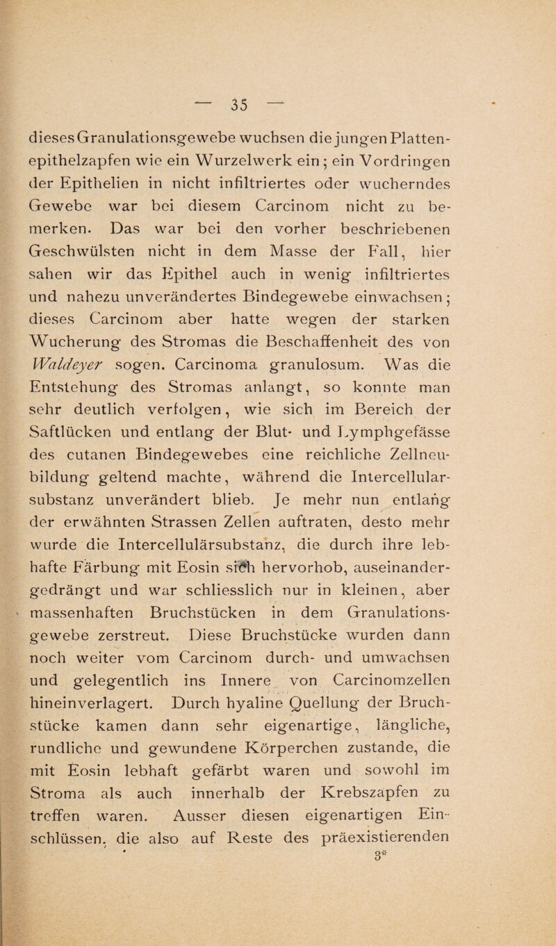 dieses Granulationsgewebe wuchsen die jungen Platten¬ epithelzapfen wie ein Wurzelwerk ein; ein Vordringen der Epithelien in nicht infiltriertes oder wucherndes Gewebe war bei diesem Carcinom nicht zu be¬ merken. Das war bei den vorher beschriebenen Geschwülsten nicht in dem Masse der Fall, hier sahen wir das Epithel auch in wenig infiltriertes und nahezu unverändertes Bindegewebe einwachsen ; dieses Carcinom aber hatte wegen der starken Wucherung des Stromas die Beschaffenheit des von Waldeyer sogen. Carcinoma granulosum. Was die Entstehung des Stromas anlangt, so konnte man sehr deutlich verfolgen, wie sich im Bereich der Saftlücken und entlang der Blut- und Lymphgefässe des cutanen Bindegewebes eine reichliche Zellneu¬ bildung geltend machte, während die Intercellular¬ substanz unverändert blieb. Je mehr nun entlang der erwähnten Strassen Zellen auftraten, desto mehr wurde die Intercellulärsubstanz, die durch ihre leb¬ hafte Färbung mit Eosin si£h hervorhob, auseinander¬ gedrängt und war schliesslich nur in kleinen, aber ' massenhaften Bruchstücken in dem Granulations¬ gewebe zerstreut. Diese Bruchstücke wurden dann noch weiter vom Carcinom durch- und umwachsen und gelegentlich ins Innere von Carcinomzellen hinein verlagert. Durch hyaline Quellung der Bruch¬ stücke kamen dann sehr eigenartige, längliche, rundliche und gewundene Körperchen zustande, die mit Eosin lebhaft gefärbt waren und sowohl im Stroma als auch innerhalb der Krebszapfen zu treffen waren. Ausser diesen eigenartigen Ein¬ schlüssen, die also auf Reste des präexistierenden 8*