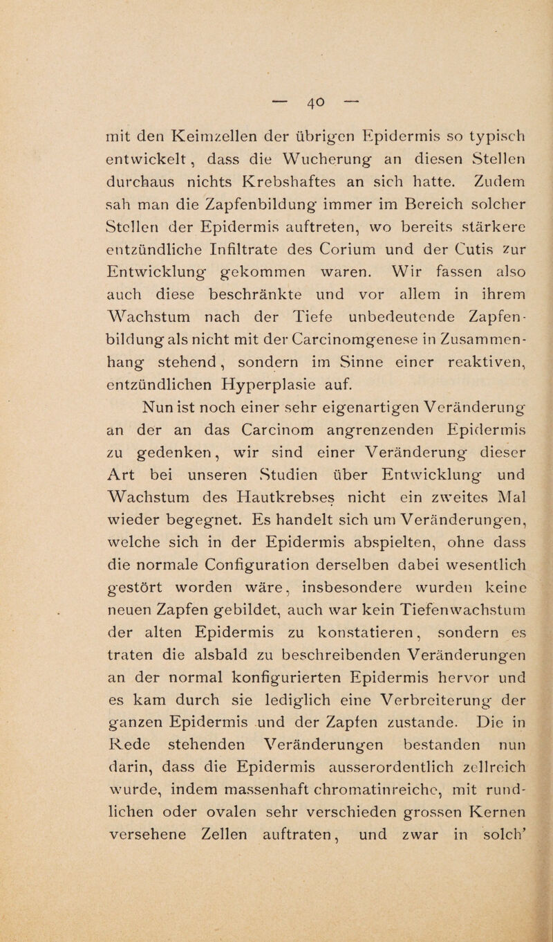 mit den Keimzellen der übrigen Epidermis so typisch entwickelt, dass die Wucherung an diesen Stellen durchaus nichts Krebshaftes an sich hatte. Zudem sah man die Zapfenbildung immer im Bereich solcher Stellen der Epidermis auftreten, wo bereits stärkere entzündliche Infiltrate des Corium und der Cutis zur Entwicklung gekommen waren. Wir fassen also auch diese beschränkte und vor allem in ihrem Wrachstum nach der Tiefe unbedeutende Zapfen - bildung als nicht mit der Carcinomgenese in Zusammen¬ hang stehend, sondern im Sinne einer reaktiven, entzündlichen Hyperplasie auf. Nun ist noch einer sehr eigenartigen Veränderung an der an das Carcinom angrenzenden Epidermis zu gedenken, wir sind einer Veränderung dieser Art bei unseren Studien über Entwicklung und Wachstum des Hautkrebses nicht ein zweites Mal wieder begegnet. Es handelt sich um Veränderungen, welche sich in der Epidermis abspielten, ohne dass die normale Configuration derselben dabei wesentlich gestört worden wäre, insbesondere wurden keine neuen Zapfen gebildet, auch war kein Tiefen Wachstum der alten Epidermis zu konstatieren, sondern es traten die alsbald zu beschreibenden Veränderungen an der normal konfigurierten Epidermis hervor und es kam durch sie lediglich eine Verbreiterung der ganzen Epidermis und der Zapfen zustande. Die in Rede stehenden Veränderungen bestanden nun darin, dass die Epidermis ausserordentlich zellreich wurde, indem massenhaft chromatinreiche, mit rund¬ lichen oder ovalen sehr verschieden grossen Kernen versehene Zellen auftraten, und zwar in solch’