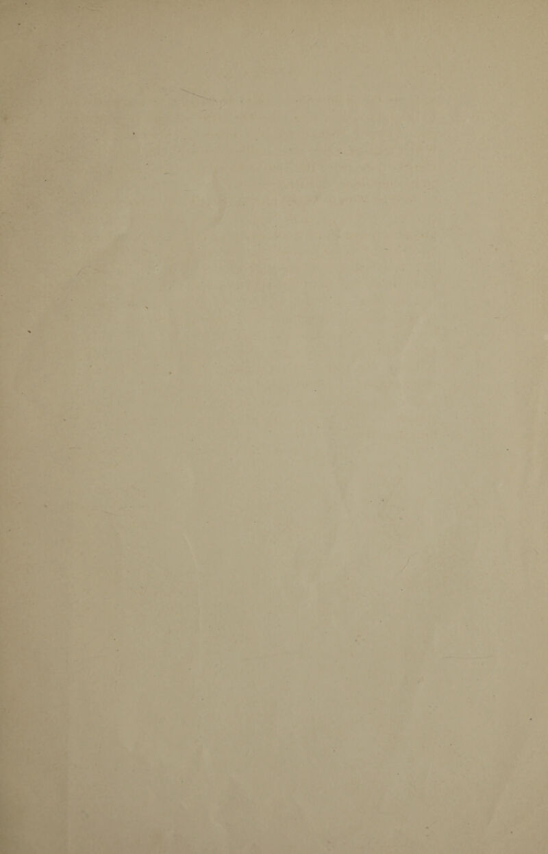 ' . . . ’ * > ' ; • • ■ - . . ■ * ■