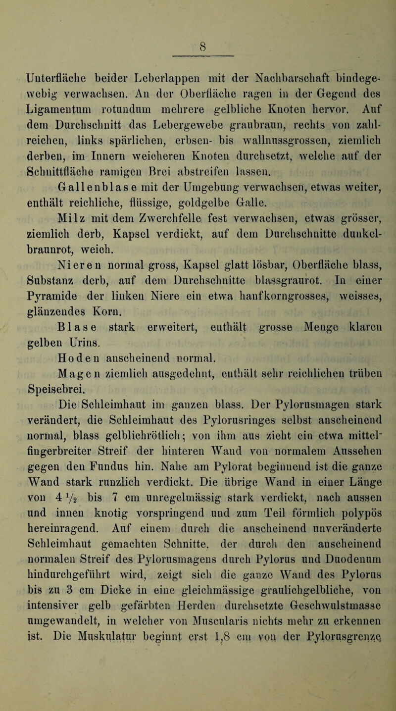 Unterfläche beider Leberlappen mit der Nachbarschaft bindege¬ webig- verwachsen. An der Oberfläche ragen in der Gegend des Ligamentum rotundum mehrere gelbliche Knoten hervor. Auf dem Durchschnitt das Lebergewebe graubraun, rechts von zahl¬ reichen, links spärlichen, erbsen- bis wallnussgrossen, ziemlich derben, im Innern weicheren Knoten durchsetzt, welche auf der Schnittfläche ramigen Brei abstreifen lassen. Gallenblase mit der Umgebung verwachsen, etwas weiter, enthält reichliche, flüssige, goldgelbe Galle. Milz mit dem Zwerchfelle fest verwachsen, etwas grösser, ziemlich derb, Kapsel verdickt, auf dem Durchschnitte dunkel¬ braunrot, weich. Nieren normal gross, Kapsel glatt lösbar, Oberfläche blass, Substanz derb, auf dem Durchschnitte blassgraurot. In einer Pyramide der linken Niere ein etwa lianfkorngrosses, weisses, glänzendes Korn. Blase stark erweitert, enthält grosse Menge klaren gelben Urins. Hoden anscheinend normal. Magen ziemlich ausgedehnt, enthält sehr reichlichen trüben Speisebrei. Die Schleimhaut im ganzen blass. Der Pylorusmagen stark verändert, die Schleimhaut des Pylorusringes selbst anscheinend normal, blass gelblichrötlich; von ihm aus zieht ein etwa mittel' fingerbreiter Streif der hinteren Wand von normalem Aussehen gegen den Fundus hin. Nahe am Pylorat beginnend ist die ganze Wand stark runzlich verdickt. Die übrige Wand in einer Länge von 4 y2 bis 7 cm unregelmässig stark verdickt, nach aussen und innen knotig vorspringend und zum Teil förmlich polypös hereinragend. Auf einem durch die anscheinend unveränderte Schleimhaut gemachten Schnitte, der durch den anscheinend normalen Streif des Pylorusmagens durch Pylorus und Duodenum hindurchgeführt wird, zeigt sich die ganze Wand des Pylorus bis zu 3 cm Dicke in eine gleichmässige graulichgelbliche, von intensiver gelb gefärbten Herden durchsetzte Geschwulstmasse umgewandelt, in welcher von Muscularis nichts mehr zu erkennen ist. Die Muskulatur beginnt erst 1,8 cm von der PylorusgrenzQ