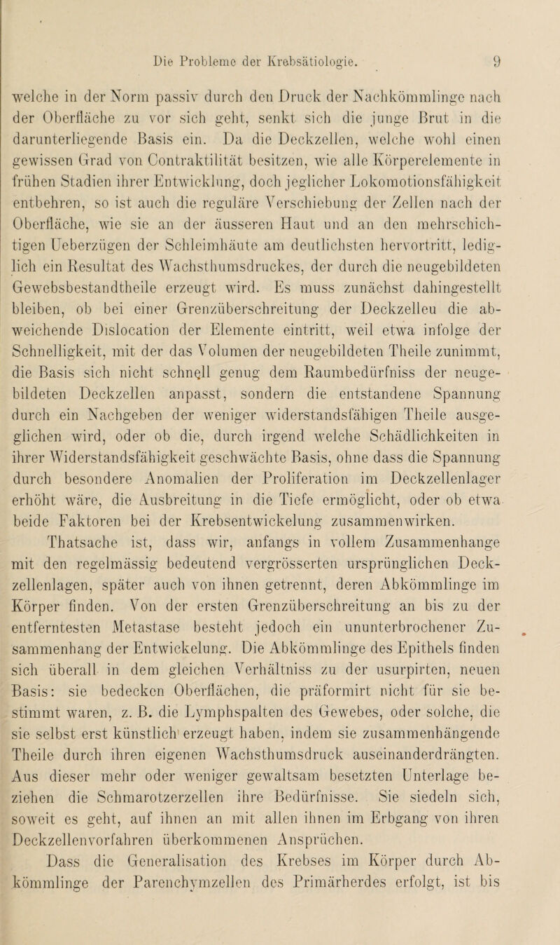 welche in der Norm passiv durch den Druck der Nachkömmlinge nach der Oberfläche zu vor sich geht, senkt sich die junge Brut in die darunterliegende Basis ein. Da die Deckzellen, welche wohl einen gewissen Grad von Contraktilität besitzen, wie alle Körperelemente in frühen Stadien ihrer Entwicklung, doch jeglicher Lokomotionsfähigkeit entbehren, so ist auch die reguläre Verschiebung der Zellen nach der Oberfläche, wie sie an der äusseren Haut und an den mehrschich¬ tigen Ueberzügen der Schleimhäute am deutlichsten hervortritt, ledig¬ lich ein Resultat des Wachsthumsdruckes, der durch die neugebildeten Gewebsbestandtheile erzeugt wird. Es muss zunächst dahingestellt bleiben, ob bei einer Grenzüberschreitung der Deckzelleu die ab¬ weichende Dislocation der Elemente eintritt, weil etwa infolge der Schnelligkeit, mit der das Volumen der neugebildeten Theile zunimmt, die Basis sich nicht schnell genug dem Raumbedürfniss der neuge¬ bildeten Deckzellen anpasst, sondern die entstandene Spannung durch ein Nachgeben der weniger widerstandsfähigen Theile ausge¬ glichen wird, oder ob die, durch irgend welche Schädlichkeiten in ihrer Widerstandsfähigkeit geschwächte Basis, ohne dass die Spannung durch besondere Anomalien der Proliferation im Deckzellenlager erhöht wäre, die Ausbreitung in die Tiefe ermöglicht, oder ob etwa beide Faktoren bei der Krebsentwickelung Zusammenwirken. Thatsache ist, dass wir, anfangs in vollem Zusammenhänge mit den regelmässig bedeutend vergrösserten ursprünglichen Deck- zellenlagen, später auch von ihnen getrennt, deren Abkömmlinge im Körper finden. Von der ersten Grenzüberschreitung an bis zu der entferntesten Metastase besteht jedoch ein ununterbrochener Zu¬ sammenhang der Entwickelung. Die Abkömmlinge des Epithels finden sich überall in dem gleichen Verhältnis zu der usurpirten, neuen Basis: sie bedecken Oberflächen, die präformirt nicht für sie be¬ stimmt waren, z. B. die Lymphspalten des Gewebes, oder solche, die sie selbst erst künstlich erzeugt haben, indem sie zusammenhängende Theile durch ihren eigenen Wachsthumsdruck auseinanderdrängten. Aus dieser mehr oder weniger gewaltsam besetzten Unterlage be¬ ziehen die Schmarotzerzellen ihre Bedürfnisse. Sie siedeln sich, soweit es geht, auf ihnen an mit allen ihnen im Erbgang von ihren Deckzellenvorfahren überkommenen Ansprüchen. Dass die Generalisation des Krebses im Körper durch Ab¬ kömmlinge der Parenchymzellen des Primärherdes erfolgt, ist bis
