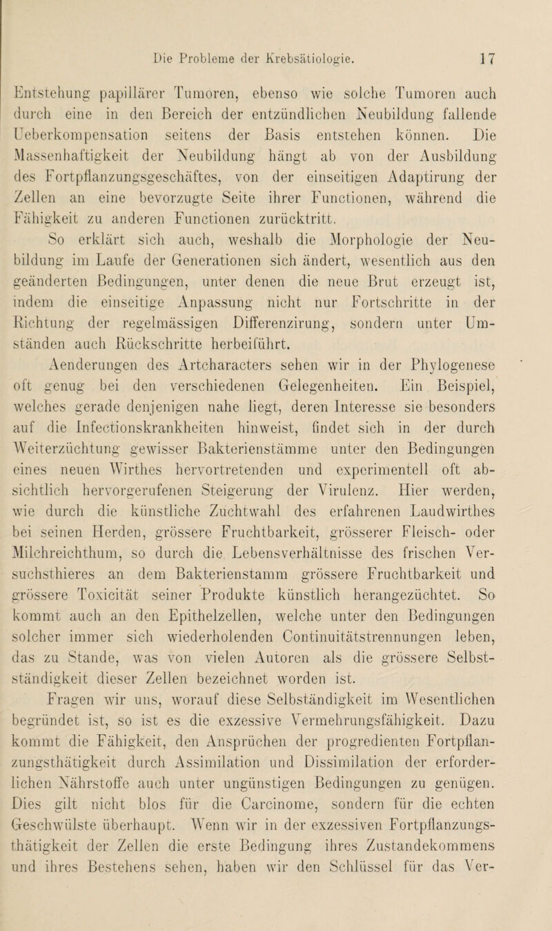 Entstehung papillärer Tumoren, ebenso wie solche Tumoren auch durch eine in den Bereich der entzündlichen Neubildung fallende Ueberkompensation seitens der Basis entstehen können. Die Massenhaftigkeit der Neubildung hängt ab von der Ausbildung des Fortpflanzungsgeschäftes, von der einseitigen Adaptirung der Zellen an eine bevorzugte Seite ihrer Functionen, während die Fähigkeit zu anderen Functionen zurücktritt. So erklärt sich auch, weshalb die Morphologie der Neu¬ bildung im Laufe der Generationen sich ändert, wesentlich aus den geänderten Bedingungen, unter denen die neue Brut erzeugt ist, indem die einseitige Anpassung nicht nur Fortschritte in der Richtung der regelmässigen Differenzirung, sondern unter Um¬ ständen auch Rückschritte herbeiführt. Aenderungen des Artcharaeters sehen wir in der Phylogenese oft genug bei den verschiedenen Gelegenheiten. Ein Beispiel, welches gerade denjenigen nahe liegt, deren Interesse sie besonders auf die Infectionskrankheiten hinweist, findet sich in der durch Weiterzüchtung gewisser Bakterienstämme unter den Bedingungen eines neuen Wirthes hervortretenden und experimentell oft ab¬ sichtlich hervorgerufenen Steigerung der Virulenz. Hier werden, wie durch die künstliche Zuchtwahl des erfahrenen Laudwirthes bei seinen Herden, grössere Fruchtbarkeit, grösserer Fleisch- oder Milchreichthum, so durch die Lebensverhältnisse des frischen Ver- suchsthieres an dem Bakterienstamm grössere Fruchtbarkeit und grössere Toxicität seiner Produkte künstlich herangezüchtet. So kommt auch an den Epithelzellen, welche unter den Bedingungen solcher immer sich wiederholenden Continuitätstrennungen leben, das zu Stande, was von vielen Autoren als die grössere Selbst¬ ständigkeit dieser Zellen bezeichnet worden ist. Fragen wir uns, worauf diese Selbständigkeit im Wesentlichen begründet ist, so ist es die exzessive Vermehrungsfähigkeit. Dazu kommt die Fähigkeit, den Ansprüchen der progredienten Fortpflan- zungsthätigkeit durch Assimilation und Dissimilation der erforder¬ lichen Nährstoffe auch unter ungünstigen Bedingungen zu genügen. Dies gilt nicht blos für die Carcinome, sondern für die echten Geschwülste überhaupt. Wenn wir in der exzessiven Fortpfla-nzungs- thätigkeit der Zellen die erste Bedingung ihres Zustandekommens und ihres Bestehens sehen, haben wir den Schlüssel für das Ver-