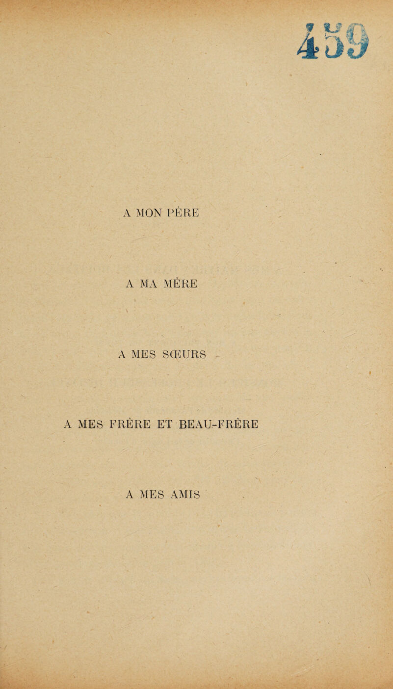 A MON PÈRE A MA MÈRE A MES SŒURS A MES FRÈRE ET BEAU-FRÈRE N ; \ A MES AMIS