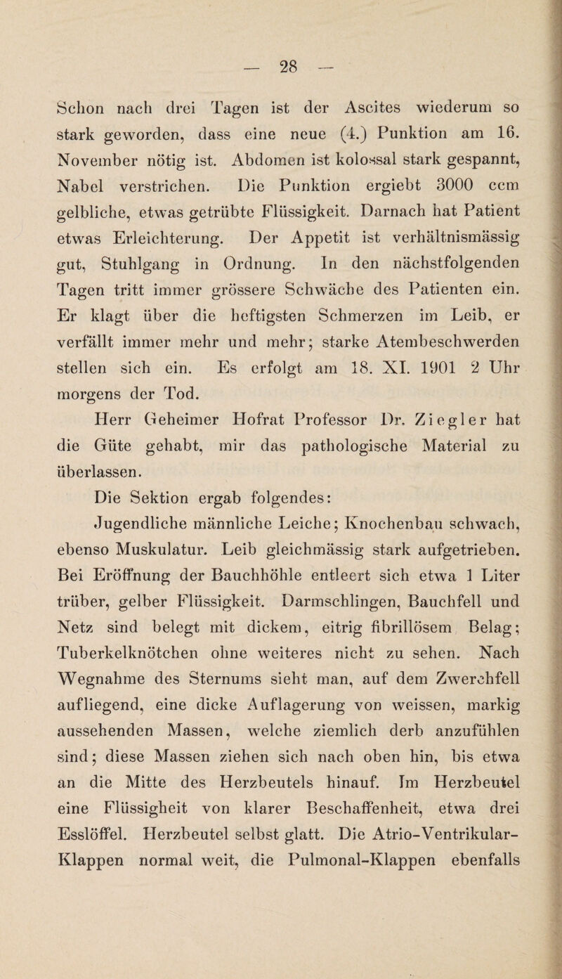 Schon nach drei Tagen ist der Ascites wiederum so stark geworden, dass eine neue (4.) Punktion am 16. November nötig ist. Abdomen ist kolossal stark gespannt, Nabel verstrichen. Die Punktion ergiebt 3000 ccm gelbliche, etwas getrübte Flüssigkeit. Darnach hat Patient etwas Erleichterung. Der Appetit ist verhältnismässig gut, Stuhlgang in Ordnung. In den nächstfolgenden Tagen tritt immer grössere Schwäche des Patienten ein. Er klagt über die heftigsten Schmerzen im Leib, er verfällt immer mehr und mehr; starke Atembeschwerden stellen sich ein. Es erfolgt am 18. NI. 1901 2 Uhr morgens der Tod. Herr Geheimer Hofrat Professor Dr. Ziegler hat die Güte gehabt, mir das pathologische Material zu überlassen. Die Sektion ergab folgendes: Jugendliche männliche Leiche; Knochenbau schwach, ebenso Muskulatur. Leib gleichmässig stark aufgetrieben. Bei Eröffnung der Bauchhöhle entleert sich etwa 1 Liter trüber, gelber Flüssigkeit. Darmschlingen, Bauchfell und Netz sind belegt mit dickem, eitrig fibrillösem Belag; Tuberkelknötchen ohne weiteres nicht zu sehen. Nach Wegnahme des Sternums sieht man, auf dem Zwerchfell auf liegend, eine dicke Auflagerung von weissen, markig aussehenden Massen, welche ziemlich derb anzufühlen sind; diese Massen ziehen sich nach oben hin, bis etwa an die Mitte des Herzbeutels hinauf. Im Herzbeutel eine Flüssigheit von klarer Beschaffenheit, etwa drei Esslöffel. Herzbeutel selbst glatt. Die Atrio-Ventrikular- Klappen normal weit, die Pulmonal-Klappen ebenfalls