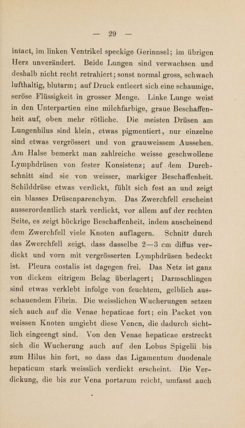 intact, im linken Ventrikel speckige Gerinnsel; im übrigen Herz unverändert. Beide Lungen sind verwachsen und deshalb nicht recht retrahiert; sonst normal gross, schwach lufthaltig, blutarm; auf Druck entleert sich eine schaumige, seröse Flüssigkeit in grosser Menge. Linke Lunge weist in den Unterpartien eine milchfarbige, graue Beschaffen¬ heit auf, oben mehr rötliche. Die meisten Drüsen am Lungenhilus sind klein, etwas pigmentiert, nur einzelne sind etwas vergrössert und von grauweissem Aussehen. Am Halse bemerkt man zahlreiche weisse geschwollene Lymphdrüsen von fester Konsistenz; auf dem Durch¬ schnitt sind sie von weisser, markiger Beschaffenheit. Schilddrüse etwas verdickt, fühlt sich fest an und zeigt ein blasses Drüsenparenchym. Das Zwerchfell erscheint ausserordentlich stark verdickt, vor allem auf der rechten Seite, es zeigt höckrige Beschaffenheit, indem anscheinend dem Zwerchfell viele Knoten auflagern. Schnitt durch das Zwerchfell zeigt, dass dasselbe 2—3 cm diffus ver¬ dickt und vorn mit vergrösserten Lymphdrüsen bedeckt ist. Pleura costalis ist dagegen frei. Das Netz ist ganz von dickem eitrigem Belag überlagert; Darmschlingen sind etwas verklebt infolge von feuchtem, gelblich aus¬ schauendem Fibrin. Die weisslichen Wucherungen setzen sich auch auf die Venae hepaticae fort; ein Packet von weissen Knoten umgiebt diese Venen, die dadurch sicht¬ lich eingeengt sind. Von den Venae hepaticae erstreckt sich die Wucherung auch auf den Lobus Spigelii bis zum Hilus hin fort, so dass das Ligamentum duodenale hepaticum stark weisslicli verdickt erscheint. Die Ver¬ dickung, die bis zur Vena portarum reicht, umfasst auch