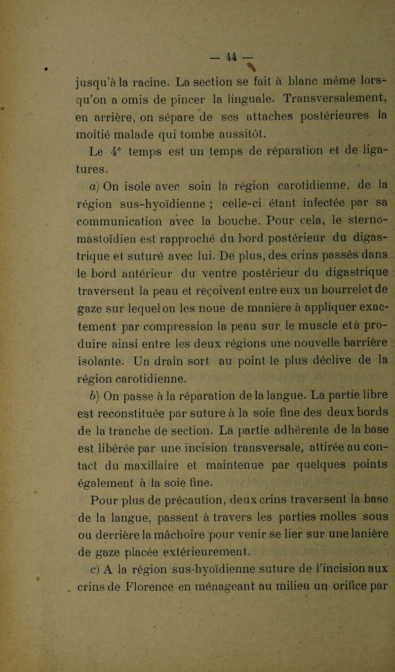 \ jusqu’à la racine. La section se fait à blanc même lors¬ qu’on a omis de pincer la linguale. Transversalement, en arrière, on sépare de ses attaches postérieures la moitié malade qui tombe aussitôt. Le 4e temps est un temps de réparation et de liga¬ tures. a) On isole avec soin la région carotidienne, de la région sus-hyoïdienne ; celle-ci étant infectée par sa communication avec la bouche. Pour cela, le sterno- mastoïdien est rapproché du bord postérieur du digas¬ trique et suturé avec lui. De plus, des crins passés dans le bord antérieur du ventre postérieur du digastrique traversent la peau et reçoivent entre eux un bourrelet de gaze sur lequel on les noue de manière à appliquer exac¬ tement par compression la peau sur le muscle et à pro¬ duire ainsi entre les deux régions une nouvelle barrière isolante. Un drain sort au point le plus déclive de la région carotidienne. b) On passe à la réparation de la langue. La partie libre est reconstituée par suture à la soie fine des deux bords de la tranche de section. La partie adhérente de la base est libérée par une incision transversale, attirée au con¬ tact du maxillaire et maintenue par quelques points également à la soie fine. Pour plus de précaution, deux crins traversent la base de la langue, passent à travers les parties molles sous ou derrière la mâchoire pour venir se lier sur une lanière de gaze placée extérieurement. c) A la région sus-hyoïdienne suture de l’incision aux crins de Florence en ménageant au milieu un orifice par