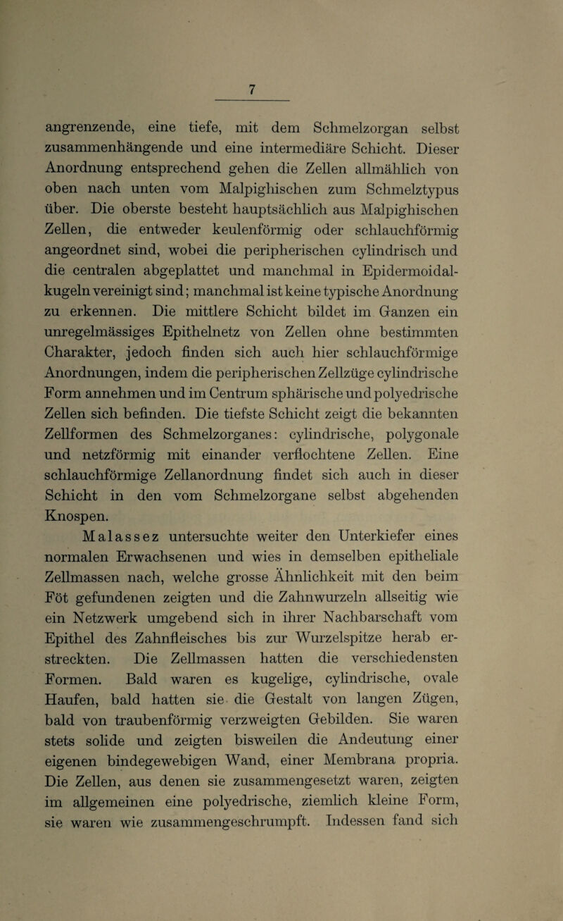 angrenzende, eine tiefe, mit dem Schmelzorgan selbst zusammenhängende und eine intermediäre Schicht. Dieser Anordnung entsprechend gehen die Zellen allmählich von oben nach unten vom Malpighischen zum Schmelztypus über. Die oberste besteht hauptsächlich aus Malpighischen Zellen, die entweder keulenförmig oder schlauchförmig angeordnet sind, wobei die peripherischen cylindrisch und die centralen abgeplattet und manchmal in Epidermoidal- kugeln vereinigt sind; manchmal ist keine typische Anordnung zu erkennen. Die mittlere Schicht bildet im Ganzen ein unregelmässiges Epithelnetz von Zellen ohne bestimmten Charakter, jedoch linden sich auch hier schlauchförmige Anordnungen, indem die peripherischen Zellzüge cylindrische Form annehmen und im Centrum sphärische undpolyedrische Zellen sich befinden. Die tiefste Schicht zeigt die bekannten Zellformen des Schmelzorganes: cylindrische, polygonale und netzförmig mit einander verflochtene Zellen. Eine schlauchförmige Zellanordnung findet sich auch in dieser Schicht in den vom Schmelzorgane selbst abgehenden Knospen. Malassez untersuchte weiter den Unterkiefer eines normalen Erwachsenen und wies in demselben epitheliale Zellmassen nach, welche grosse Ähnlichkeit mit den beim Föt gefundenen zeigten und die Zahnwurzeln allseitig wie ein Netzwerk umgebend sich in ihrer Nachbarschaft vom Epithel des Zahnfleisches bis zur Wurzelspitze herab er¬ streckten. Die Zellmassen hatten die verschiedensten Formen. Bald waren es kugelige, cyhndrische, ovale Haufen, bald hatten sie die Gestalt von langen Zügen, bald von traubenförmig verzweigten Gebilden. Sie waren stets solide und zeigten bisweilen die Andeutung einer eigenen bindegewebigen Wand, einer Membrana propria. Die Zellen, aus denen sie zusammengesetzt waren, zeigten im allgemeinen eine polyedrische, ziemlich kleine Form, sie waren wie zusammengeschrumpft. Indessen fand sich