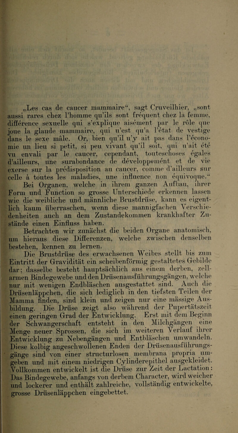 ,,Les cas de caucer mammaire“, sagt Cruveilhier, „sont aussi rares chez l’homme qu’ils sont frequent chez la femme, differente sexuelle qui s’explique aisement par le role que joue la glaude mammaire, qui u’est qu’a l’etat de vestige dans le sexe male. Or, bien qu’il u’y ait pas dans l’econo- inie un lieu si petit, si peu vivant qu’il seit, (pii u’ait ete vu envali par le caucer, cependant, touteschoses egales d’ailleurs, une surabondance de developpement et de vie exerse sur la predisposition au caucer, comme d’ailleurs sur celle a toutes les maladies, une influence non equivoque.“ Bei Organen, welche in ihrem ganzen Aufbau, ihrer Form und Function so grosse Unterschiede erkennen lassen wie die weibliche und männliche Brustdrüse, kann es eigent¬ lich kaum überraschen, wenn diese mannigfachen Verschie¬ denheiten auch an dem Zustandekommen krankhafter Zu¬ stände einen Einfluss haben. Betrachten wir zunächst die beiden Organe anatomisch, um hieraus diese Differenzen, welche zwischen denselben bestehen, kennen zu lernen. Die Brustdrüse des erwachsenen Weibes stellt bis zum Eintritt der Gravidität ein scheibenförmig gestaltetes Gebilde dar; dasselbe besteht hauptsächlich aus einem derben, zell¬ armen Bindegewebe und den Drüsenausführungsgängen, welche nur mit wenigen Endbläschen ausgestattet sind. Auch die Drüsenläppchen, die sich lediglich in den tiefsten Teilen der Mamma finden, sind klein und zeigen nur eine mässige Aus¬ bildung. Die Drüse zeigt also während der Pupertätszeit einen geringen Grad der Entwicklung. Erst mit dem Beginn der Schwangerschaft entsteht in den Milchgängen eine Menge neuer Sprossen, die sich im weiteren Verlauf ihrer Entwicklung zu Nebengängen und Entbläschen umwandeln. Diese kolbig angeschwollenen Enden der Drüsenausführungs¬ gänge sind von einer strukturlosen membrana propria um¬ geben und mit einem niedrigen Cylinderepithel ausgekleidet. Vollkommen entwickelt ist die Drüse zur Zeit der Lactation: Das Bindegewebe, anfangs von derbem Character, wird weicher und lockerer und enthält zahlreiche, vollständig entwickelte, grosse Drüsenläppchen eingebettet.