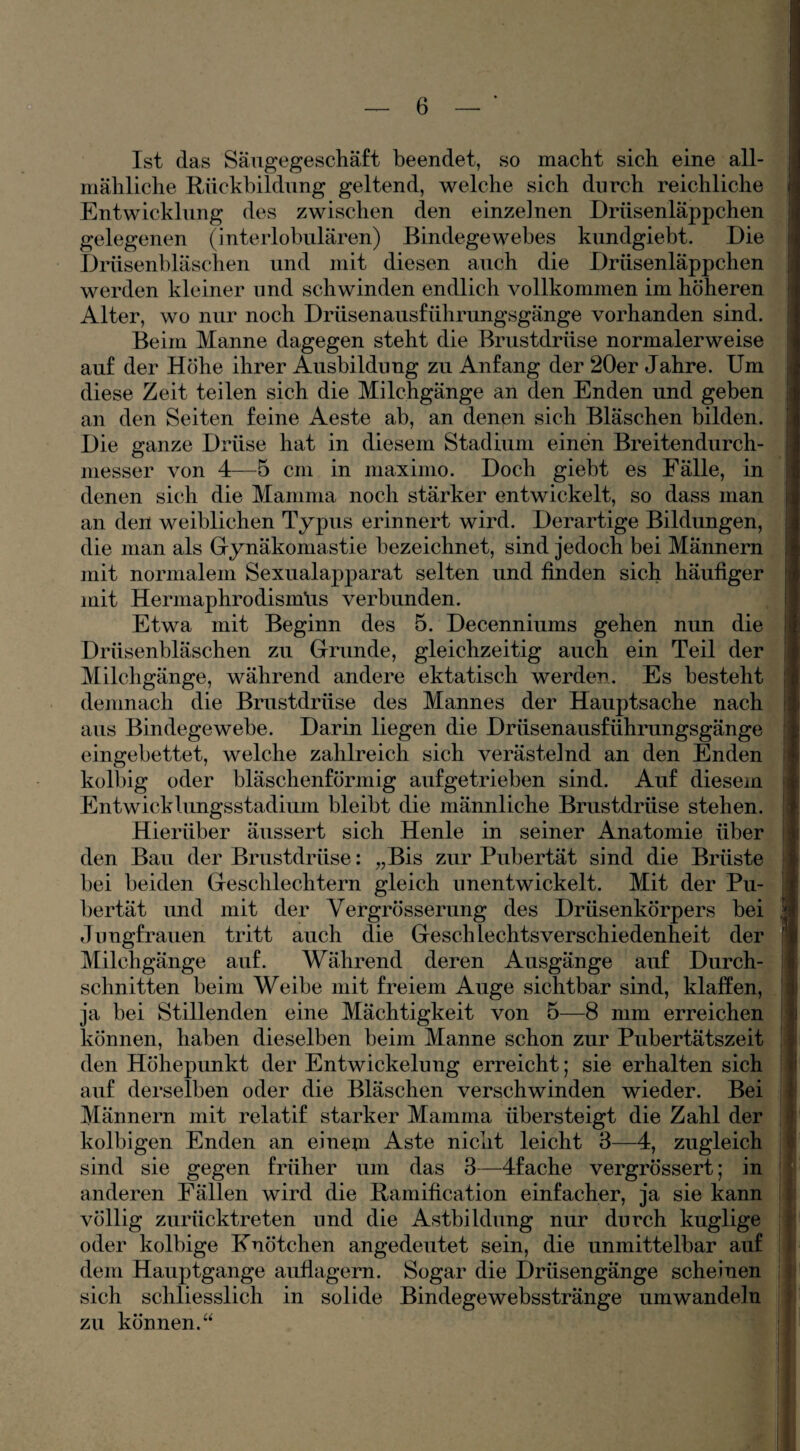 Ist das Säugegeschäft beendet, so macht sich eine all¬ mähliche Rückbildung geltend, welche sich durch reichliche Entwicklung des zwischen den einzelnen Drüsenläppchen gelegenen (interlobulären) Bindegewebes kundgiebt. Die Drüsenbläschen und mit diesen auch die Drüsenläppchen werden kleiner und schwinden endlich vollkommen im höheren Alter, wo nur noch Drüsenausführungsgänge vorhanden sind. Beim Manne dagegen steht die Brustdrüse normalerweise auf der Höhe ihrer Ausbildung zu Anfang der 20er Jahre. Um diese Zeit teilen sich die Milchgänge an den Enden und geben an den Seiten feine Aeste ab, an denen sich Bläschen bilden. Die ganze Drüse hat in diesem Stadium einen Breitendurch¬ messer von 4—5 cm in maximo. Doch giebt es Fälle, in denen sich die Mamma noch stärker entwickelt, so dass man an den weiblichen Typus erinnert wird. Derartige Bildungen, die man als Gynäkomastie bezeichnet, sind jedoch bei Männern mit normalem Sexualapparat selten und finden sich häufiger mit Hermaphrodismüs verbunden. Etwa mit Beginn des 5. Decenniums gehen nun die Drüsenbläschen zu Grunde, gleichzeitig auch ein Teil der Milchgänge, während andere ektatisch werden. Es besteht demnach die Brustdrüse des Mannes der Hauptsache nach aus Bindegewebe. Darin liegen die Drüsenausführungsgänge eingebettet, welche zahlreich sich verästelnd an den Enden kolbig oder bläschenförmig aufgetrieben sind. Auf diesem Entwicklungsstadium bleibt die männliche Brustdrüse stehen. Hierüber äussert sich Henle in seiner Anatomie über den Bau der Brustdrüse: „Bis zur Pubertät sind die Brüste bei beiden Geschlechtern gleich unentwickelt. Mit der Pu¬ bertät und mit der Vergrösserung des Drüsenkörpers bei Jungfrauen tritt auch die Geselliechtsverschiedenheit der Milchgänge auf. Während deren Ausgänge auf Durch¬ schnitten beim Weibe mit freiem Auge sichtbar sind, klaffen, ja bei Stillenden eine Mächtigkeit von 5—8 mm erreichen können, haben dieselben beim Manne schon zur Pubertätszeit den Höhepunkt der Entwickelung erreicht; sie erhalten sich auf derselben oder die Bläschen verschwinden wieder. Bei Männern mit relatif starker Mamma übersteigt die Zahl der kolbigen Enden an einem Aste nicht leicht 3—4, zugleich sind sie gegen früher um das 3—4fache vergrössert; in anderen Fällen wird die Ramification einfacher, ja sie kann völlig zurücktreten und die Astbildung nur durch kuglige oder kolbige Knötchen angedeutet sein, die unmittelbar auf dem Hauptgange auflagern. Sogar die Drüsengänge scheinen sich schliesslich in solide Bindegewebsstränge umwandeln zu können.“