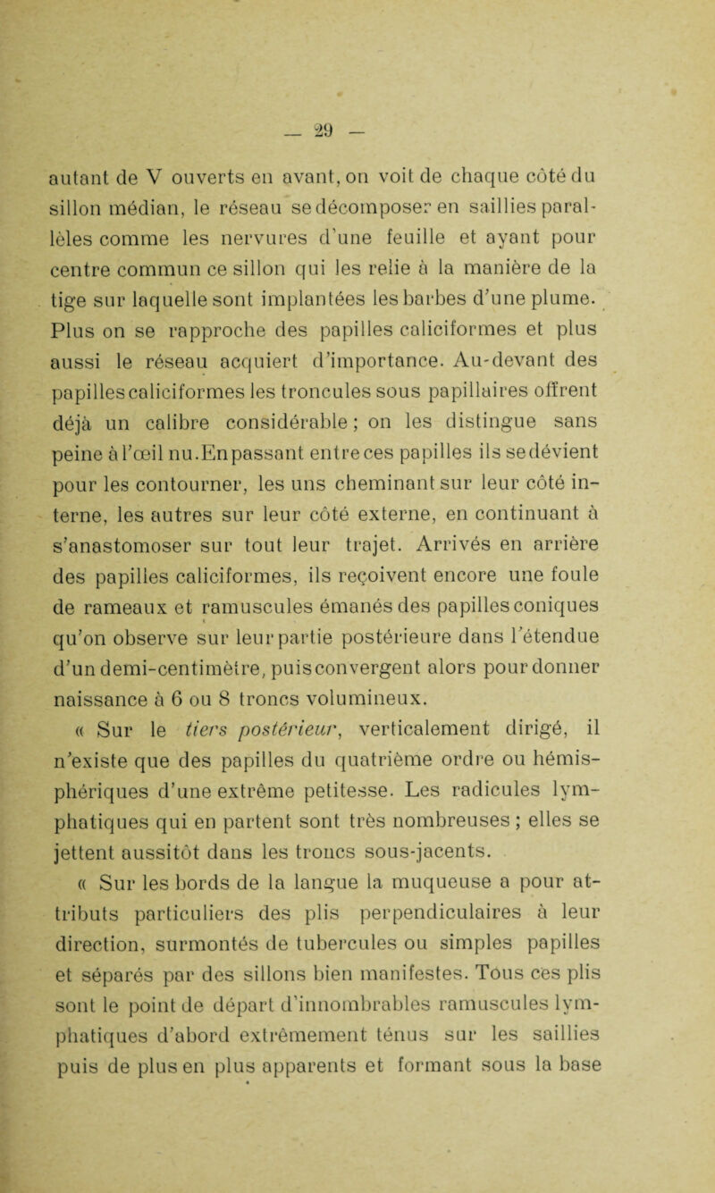 autant de V ouverts en avant, on voit de chaque côté du sillon médian, le réseau se décomposer en saillies paral¬ lèles comme les nervures d’une feuille et ayant pour centre commun ce sillon qui les relie à la manière de la tige sur laquelle sont implantées les barbes d'une plume. Plus on se rapproche des papilles caliciformes et plus aussi le réseau acquiert d’importance. Au-devant des papilles caliciformes les troncules sous papillaires offrent déjà un calibre considérable; on les distingue sans peine à l’œil nu.En passant entre ces papilles ils se dévient pour les contourner, les uns cheminant sur leur côté in¬ terne, les autres sur leur côté externe, en continuant à s’anastomoser sur tout leur trajet. Arrivés en arrière des papilles caliciformes, ils reçoivent encore une foule de rameaux et ramuscules émanés des papilles coniques « X qu’on observe sur leur partie postérieure dans l’étendue d’un demi-centimètre, puis convergent alors pour donner naissance à 6 ou 8 troncs volumineux. « Sur le tiers postérieur, verticalement dirigé, il n’existe que des papilles du quatrième ordre ou hémis¬ phériques d’une extrême petitesse. Les radicules lym¬ phatiques qui en partent sont très nombreuses ; elles se jettent aussitôt dans les troncs sous-jacents. « Sur les bords de la langue la muqueuse a pour at¬ tributs particuliers des plis perpendiculaires à leur direction, surmontés de tubercules ou simples papilles et séparés par des sillons bien manifestes. Tous ces plis sont le point de départ d’innombrables ramuscules lym¬ phatiques d’abord extrêmement ténus sur les saillies puis de plus en plus apparents et formant sous la base