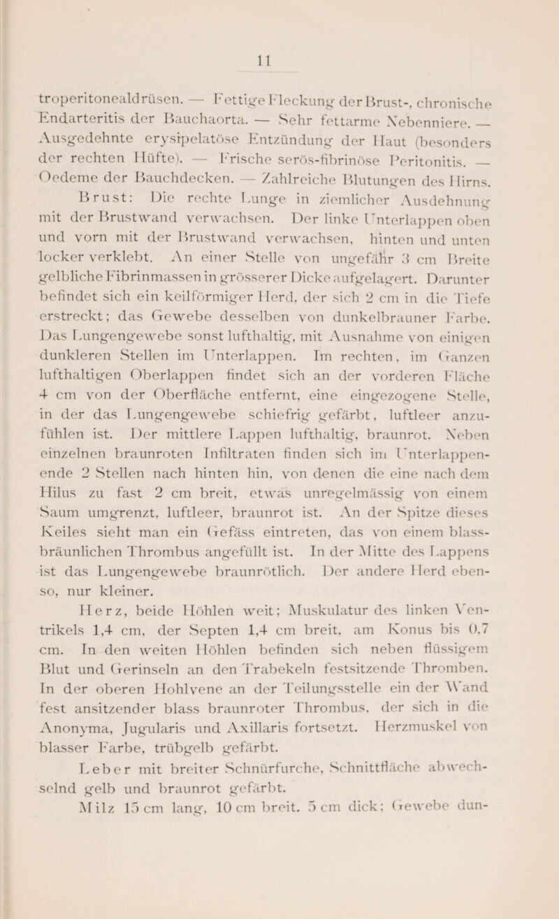 troperitonealdrüsen. — Fettige Fleckung der Brust-, chronische Endarteritis der Bauchaorta. — Sehr fettarme Nebenniere. — Ausgedehnte erysipelatöse Entzündung der Haut (besonders der rechten Hüfte). — Frische serös-fibrinöse Peritonitis. — Oedeme der Bauchdecken. — Zahlreiche Blutungen des Hirns. Brust: Die rechte Lunge in ziemlicher Ausdehnung mit der Brustwand verwachsen. Der linke Unterlappen oben und vorn mit der Brustwand verwachsen, hinten und unten locker verklebt. An einer Stelle von ungefähr 2 cm Breite gelbliche Fibrinmassen in grösserer I )icke aufgelagert. Darunter befindet sich ein keilförmiger Herd, der sich 2 cm in die Tiefe erstreckt; das Gewebe desselben von dunkelbrauner Farbe. Das Lungengewebe sonst lufthaltig, mit Ausnahme von einigen dunkleren Stellen im Unterlappen. Tm rechten, im Ganzen lufthaltigen Oberlappen findet sich an der vorderen Fläche 4 cm von der Oberfläche entfernt, eine eingezogene Stelle, in der das Lungengewebe schiefrig gefärbt, luftleer anzu¬ fühlen ist. Der mittlere Lappen lufthaltig, braunrot. Neben einzelnen braunroten Infiltraten finden sich im Unterlappen¬ ende 2 Stellen nach hinten hin, von denen die eine nach dem Hilus zu fast 2 cm breit, etwas unregelmässig von einem Saum umgrenzt, luftleer, braunrot ist. An der Spitze dieses Keiles sieht man ein (fefäss eintreten, das von einem blass¬ bräunlichen 'Thrombus angefüllt ist. In der Mitte des Lappens ist das Lungengewebe braunrötlich. Der andere Herd eben¬ so, nur kleiner. Herz, beide Höhlen weit; Muskulatur des linken Ven¬ trikels 1,4 cm, der Septen 1,4 cm breit, am Konus bis 0,7 cm. Tn den weiten Höhlen befinden sich neben flüssigem Blut und Gerinseln an den Trabekeln festsitzende Thromben. In der oberen Hohlvene an der Teilungsstelle ein der Wand fest ansitzender blass braunroter 'Thrombus, der sich in die Anonyma, Jugularis und Axillaris fortsetzt. Herzmuskel von blasser F'arbe, trübgelb gefärbt. Leber mit breiter Schnürfurche, Schnittfläche abwech¬ selnd gelb und braunrot gefärbt. Milz 15 cm lang, 10 cm breit. 5 cm dick; Gewebe dun-