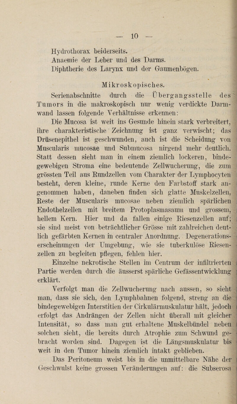 Hydrotliorax beiderseits. Anaemie der Leber und des Darms. Diphtherie des Larynx und der Gaumenbögen. Mikroskopisches. Serienabschnitte durch die Übergangsstelle des Tumors in die makroskopisch nur wenig verdickte Darm¬ wand lassen folgende Verhältnisse erkennen: Die Mucosa ist weit ins Gesunde hinein stark verbreitert, ihre charakteristische Zeichnung ist ganz verwischt; das Drüsenepithel ist geschwunden, auch ist die Scheidung von Muscularis mucosae und Submucosa nirgend mehr deutlich. Statt dessen sieht man in einem ziemlich lockeren, binde¬ gewebigen Stroma eine bedeutende Zellwucherung, die zum grössten Teil aus Eundzellen vom Charakter der Lymphocyten besteht, deren kleine, runde Kerne den Farbstoff stark an¬ genommen haben, daneben finden sich glatte Muskelzellen, Keste der Muscularis mucosae neben ziemlich spärlichen Endothelzellen mit breitem Protoplasmasaum und grossem, hellem Kern. Hier und da fallen einige Kiesenzeilen auf; sie sind meist von beträchtlicher Grösse mit zahlreichen deut¬ lich gefärbten Kernen in centraler Anordnung. Degenerations¬ erscheinungen der Umgebung, wie sie tuberkulöse Kiesen¬ zellen zu begleiten pflegen, fehlen hier. Einzelne nekrotische Stellen im Centrum der infiltrierten Partie werden durch die äusserst spärliche Gefässentwicklung erklärt. Verfolgt man die Zellwucherung nach aussen, so sieht man, dass sie sich, den Lymphbahnen folgend, streng an die bindegewebigen Interstitien der Cirkulärmuskulatur hält, jedoch erfolgt das Andrängen der Zellen nicht überall mit gleicher Intensität, so dass man gut erhaltene Muskelbündel neben solchen sieht, die bereits durch Atrophie zum Schwund ge¬ bracht worden sind. Dagegen ist die Längsmuskulatur bis weit in den Tumor hinein ziemlich intakt geblieben. Das Peritoneum weist bis in die unmittelbare Nähe der i Geschwulst keine grossen Veränderungen auf: die Subserosa