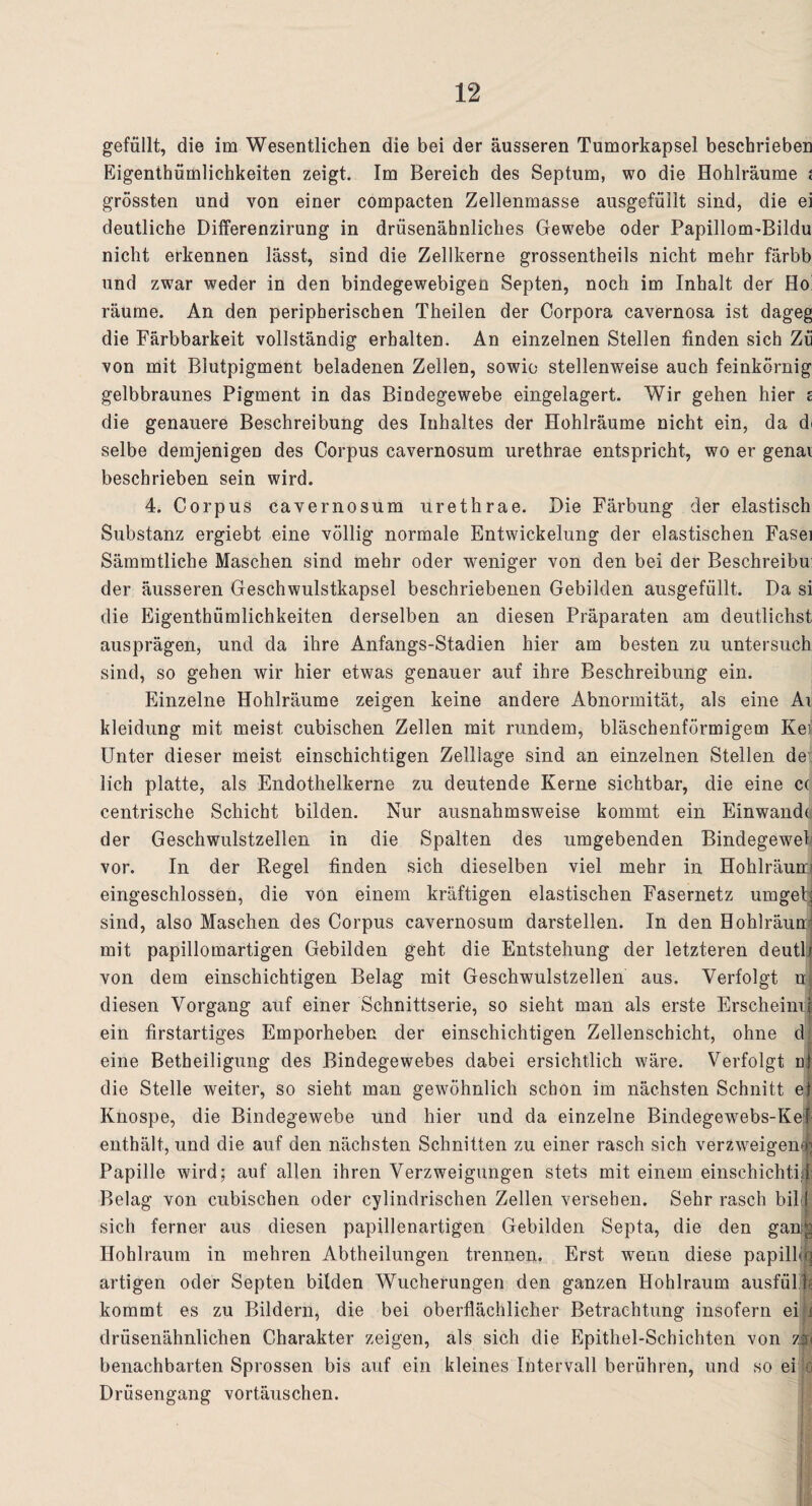 gefüllt, die im Wesentlichen die bei der äusseren Tumorkapsel beschrieben Eigenthümlichkeiten zeigt. Im Bereich des Septum, wo die Hohlräume i grössten und von einer compacten Zellenmasse ausgefüllt sind, die ei deutliche Differenzirung in drüsenähnliches Gewebe oder Papillom-Bildu nicht erkennen lässt, sind die Zellkerne grossentheils nicht mehr färbb und zwar weder in den bindegewebigen Septen, noch im Inhalt der Ho' räume. An den peripherischen Theilen der Corpora cavernosa ist dageg die Färbbarkeit vollständig erhalten. An einzelnen Stellen finden sich Zu von mit Blutpigment beladenen Zellen, sowie stellenweise auch feinkörnig gelbbraunes Pigment in das Bindegewebe eingelagert. Wir gehen hier z die genauere Beschreibung des Inhaltes der Hohlräume nicht ein, da d< selbe demjenigen des Corpus cavernosum urethrae entspricht, wo er genai beschrieben sein wird. 4. Corpus cavernosum urethrae. Die Färbung der elastisch Substanz ergiebt eine völlig normale Entwickelung der elastischen Fasei Sämmtliche Maschen sind mehr oder weniger von den bei der Beschreibu: der äusseren Geschwulstkapsel beschriebenen Gebilden ausgefüllt. Da si die Eigenthümlichkeiten derselben an diesen Präparaten am deutlichst ausprägen, und da ihre Anfangs-Stadien hier am besten zu untersuch sind, so gehen wir hier etwas genauer auf ihre Beschreibung ein. Einzelne Hohlräume zeigen keine andere Abnormität, als eine Ai kleidung mit meist cubischen Zellen mit rundem, bläschenförmigem Kei Unter dieser meist einschichtigen Zelllage sind an einzelnen Stellen de lieh platte, als Endothelkerne zu deutende Kerne sichtbar, die eine C( centrische Schicht bilden. Nur ausnahmsweise kommt ein Einwand« der Geschwulstzellen in die Spalten des umgebenden Bindegeweb vor. In der Regel finden sich dieselben viel mehr in Hohlräun! eingeschlossen, die von einem kräftigen elastischen Fasernetz umgetj sind, also Maschen des Corpus cavernosum darstellen. In den Hohlräun* mit papillomartigen Gebilden geht die Entstehung der letzteren deutli von dem einschichtigen Belag mit Geschwulstzellen aus. Verfolgt ul diesen Vorgang auf einer Schnittserie, so sieht man als erste Erscheinii ein firstartiges Emporheben der einschichtigen Zellenschicht, ohne d( eine Betheiligung des Bindegewebes dabei ersichtlich wäre. Verfolgt nt die Stelle weiter, so sieht man gewöhnlich schon im nächsten Schnitt et Knospe, die Bindegewebe und hier und da einzelne Bindegewebs-Kef enthält, und die auf den nächsten Schnitten zu einer rasch sich verzweigen^ Papille wird; auf allen ihren Verzweigungen stets mit einem einschichtig Belag von cubischen oder cylindrischen Zellen versehen. Sehr rasch bil 1 sich ferner aus diesen papillenartigen Gebilden Septa, die den gang Hohlraum in mehren Abtheilungen trennen. Erst wenn diese papilhq artigen oder Septen bilden Wucherungen den ganzen Hohlraum ausfül.« kommt es zu Bildern, die bei oberflächlicher Betrachtung insofern ei t drüsenähnlichen Charakter zeigen, als sich die Epithel-Schichten von z|| benachbarten Sprossen bis auf ein kleines Intervall berühren, und so ei o Drüsengang vortäuschen.