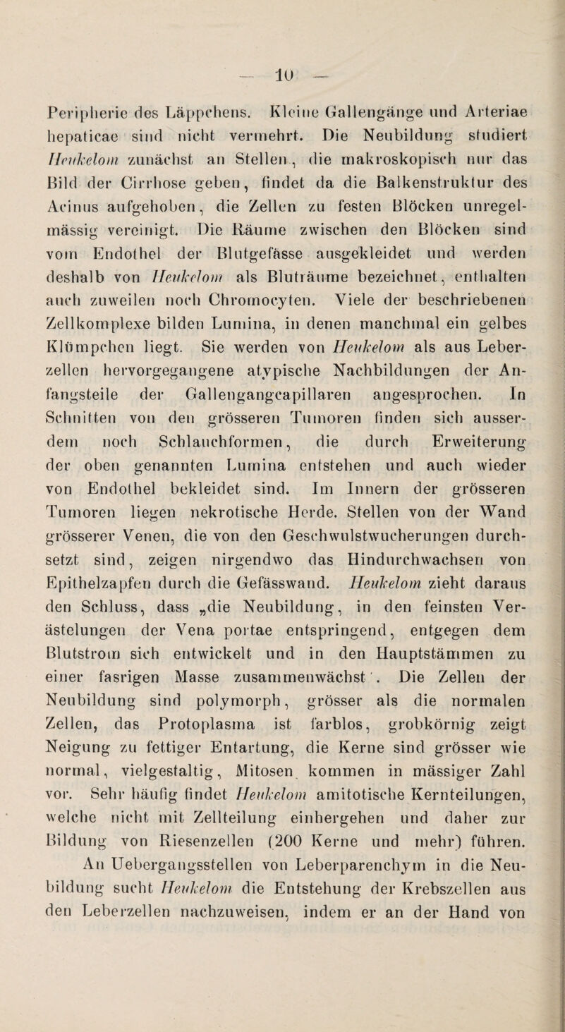 Peripherie des Läppchens. Kleine Gallengänge und Arteriae hepaticae sind nicht vermehrt. Die Neubildung studiert Heukelom zunächst an Stellen , die makroskopisch nur das Bild der Cirrhose geben, findet da die Balkenstruktur des Acinus aufgehoben, die Zellen zu festen Blöcken unregel¬ mässig vereinigt. Die Räume zwischen den Blöcken sind vom Endothel der Blutgefässe ausgekleidet und werden deshalb von Heukelom als Bluträume bezeichnet, enthalten auch zuweilen noch Chromocyten. Viele der beschriebenen Zellkomplexe bilden Lumina, in denen manchmal ein gelbes Klümpchen liegt. Sie werden von Heukelom als aus Leber¬ zellen hervorgegangene atypische Nachbildungen der An¬ fangsteile der Gallengangcapillaren angesprochen. In Schnitten von den grösseren Tumoren finden sich ausser¬ dem noch Schlauchformen, die durch Erweiterung der oben genannten Lumina entstehen und auch wieder von Endothel bekleidet sind. Im Innern der grösseren Tumoren liegen nekrotische Herde. Stellen von der Wand grösserer Venen, die von den Geschwulstwucherungen durch¬ setzt sind, zeigen nirgendwo das Hindurchwachsen von Epithelzapfen durch die Gefässwand. Heukelom zieht daraus den Schluss, dass „die Neubildung, in den feinsten Ver¬ ästelungen der Vena portae entspringend, entgegen dem Blutstrom sich entwickelt und in den Hauptstämmen zu einer fasrigen Masse zusammenwächst . Die Zellen der Neubildung sind polymorph, grösser als die normalen Zellen, das Protoplasma ist farblos, grobkörnig zeigt Neigung zu fettiger Entartung, die Kerne sind grösser wie normal, vielgestaltig, Mitosen kommen in massiger Zahl vor. Sehr häufig findet Heukelom amitotische Kernteilungen, welche nicht mit Zellteilung einhergehen und daher zur Bildung von Riesenzellen (200 Kerne und mehr) führen. An Uebergangsstellen von Leberparenchym in die Neu¬ bildung sucht Heukelom die Entstehung der Krebszellen aus den Leberzellen nachzuweisen, indem er an der Hand von