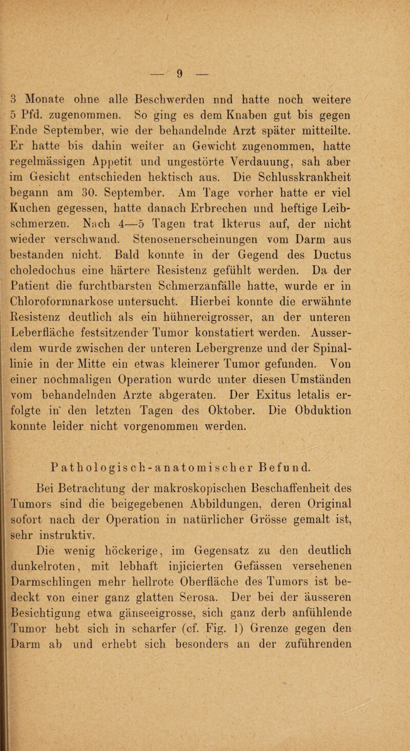 3 Monate ohne alle Beschwerden nnd hatte noch weitere 5 Pfcl. zugenommen. So ging es dem Knaben gut bis gegen Ende September, wie der behandelnde Arzt später mitteilte. Er hatte bis dahin weiter an Gewicht zugenommen, hatte regelmässigen Appetit und ungestörte Verdauung, sah aber im Gesicht entschieden hektisch aus. Die Schlusskrankheit begann am 30. September. Am Tage vorher hatte er viel Kuchen gegessen, hatte danach Erbrechen und heftige Leib¬ schmerzen. Nach 4—5 Tagen trat Ikterus auf, der nicht wieder verschwand. Stenosenerscheinungen vom Darm aus bestanden nicht. Bald konnte in der Gegend des Ductus choledochus eine härtere Resistenz gefühlt werden. Da der Patient die furchtbarsten Schmerzanfälle hatte, wurde er in Chloroformnarkose untersucht. Hierbei konnte die erwähnte Resistenz deutlich als ein hühnereigrosser, an der unteren LeberÜäche festsitzender Tumor konstatiert werden. Ausser¬ dem wurde zwischen der unteren Lebergrenze und der Spinal¬ linie in der Mitte ein etwas kleinerer Tumor gefunden. Von einer nochmaligen Operation wurde unter diesen Umständen vom behandelnden Arzte abgeraten. Der Exitus letalis er¬ folgte in den letzten Tagen des Oktober. Die Obduktion konnte leider nicht vorgenommen werden. Pathologisch-anatomischer Befund. Bei Betrachtung der makroskopischen Beschaffenheit des Tumors sind die beigegebenen Abbildungen, deren Original sofort nach der Operation in natürlicher Grösse gemalt ist, sehr instruktiv. Die wenig höckerige, im Gegensatz zu den deutlich , dunkelroten, mit lebhaft injicierten Gefässen versehenen Darmschlingen mehr hellrote Oberfläche des Tumors ist be¬ deckt von einer ganz glatten Serosa. Der bei der äusseren Besichtigung etwa gänseeigrosse, sich ganz derb anfühlende Tumor hebt sich in scharfer (cf. Fig. 1) Grenze gegen den Darm ab und erhebt sich besonders an der zuführenden