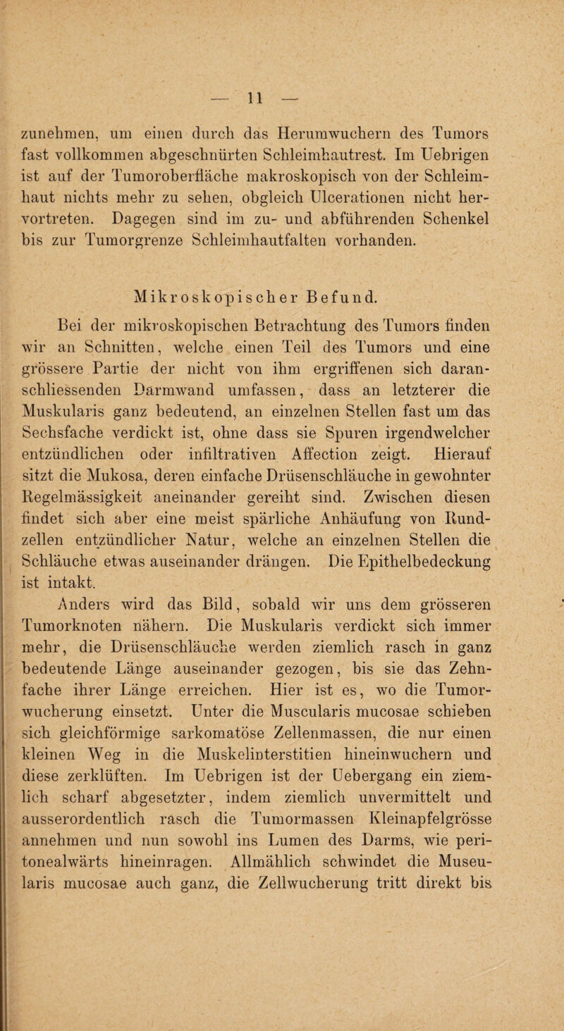zunehmen, um einen durch das Herumwuchern des Tumors fast vollkommen abgeschnürten Schleimhautrest. Im Uebrigen ist auf der Tumoroberfläche makroskopisch von der Schleim¬ haut nichts mehr zu sehen, obgleich Ulcerationen nicht her¬ vortreten. Dagegen sind im zu- und abführenden Schenkel bis zur Tumorgrenze Schleimhautfalten vorhanden. Mikroskopischer Befund. Bei der mikroskopischen Betrachtung des Tumors finden wir an Schnitten, welche einen Teil des Tumors und eine grössere Partie der nicht von ihm ergriffenen sich daran¬ schliessenden Darmwand umfassen, dass an letzterer die Muskularis ganz bedeutend, an einzelnen Stellen fast um das Sechsfache verdickt ist, ohne dass sie Spuren irgendwelcher entzündlichen oder infiltrativen Affection zeigt. Hierauf sitzt die Mukosa, deren einfache Drüsenschläuche in gewohnter Regelmässigkeit aneinander gereiht sind. Zwischen diesen findet sich aber eine meist spärliche Anhäufung von Rund¬ zellen entzündlicher Natur, welche an einzelnen Stellen die Schläuche etwas auseinander drängen. Die Epithelbedeckung ist intakt. Anders wird das Bild, sobald wir uns dem grösseren Tumorknoten nähern. Die Muskularis verdickt sich immer mehr, die Drüsenschläuche werden ziemlich rasch in ganz bedeutende Länge auseinander gezogen, bis sie das Zehn¬ fache ihrer Länge erreichen. Hier ist es, wo die Tumor¬ wucherung einsetzt. Unter die Muscularis mucosae schieben sich gleichförmige sarkomatöse Zellenmassen, die nur einen kleinen Weg in die Muskelinterstitien hineinwuchern und diese zerklüften. Im Uebrigen ist der Uebergang ein ziem¬ lich scharf abgesetzter, indem ziemlich unvermittelt und ausserordentlich rasch die Tumormassen Kleinapfelgrösse annehmen und nun sowohl ins Lumen des Darms, wie peri- tonealwärts hineinragen. Allmählich schwindet die Museu- laris mucosae auch ganz, die Zellwucherung tritt direkt bis