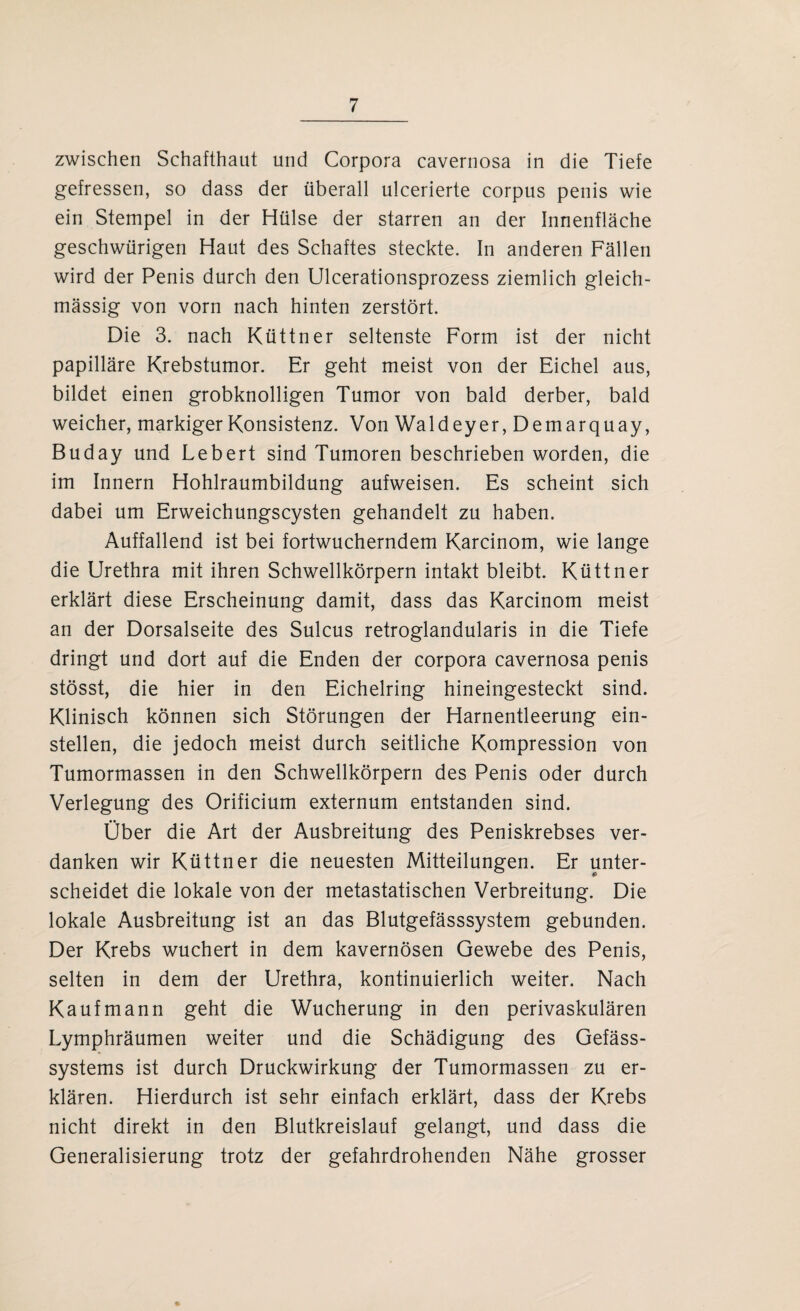 zwischen Schafthaut und Corpora cavernosa in die Tiefe gefressen, so dass der überall ulcerierte corpus penis wie ein Stempel in der Hülse der starren an der Innenfläche geschwürigen Haut des Schaftes steckte. In anderen Fällen wird der Penis durch den Ulcerationsprozess ziemlich gleich- mässig von vorn nach hinten zerstört. Die 3. nach Küttner seltenste Form ist der nicht papilläre Krebstumor. Er geht meist von der Eichel aus, bildet einen grobknolligen Tumor von bald derber, bald weicher, markiger Konsistenz. Von Waldeyer, Demarquay, Buday und Lebert sind Tumoren beschrieben worden, die im Innern Hohlraumbildung aufweisen. Es scheint sich dabei um Erweichungscysten gehandelt zu haben. Auffallend ist bei fortwucherndem Karcinom, wie lange die Urethra mit ihren Schwellkörpern intakt bleibt. Küttner erklärt diese Erscheinung damit, dass das Karcinom meist an der Dorsalseite des Sulcus retroglandularis in die Tiefe dringt und dort auf die Enden der corpora cavernosa penis stösst, die hier in den Eichelring hineingesteckt sind. Klinisch können sich Störungen der Harnentleerung ein¬ stellen, die jedoch meist durch seitliche Kompression von Tumormassen in den Schwellkörpern des Penis oder durch Verlegung des Orificium externum entstanden sind. Über die Art der Ausbreitung des Peniskrebses ver¬ danken wir Küttner die neuesten Mitteilungen. Er unter- £ scheidet die lokale von der metastatischen Verbreitung. Die lokale Ausbreitung ist an das Blutgefässsystem gebunden. Der Krebs wuchert in dem kavernösen Gewebe des Penis, selten in dem der Urethra, kontinuierlich weiter. Nach Kaufmann geht die Wucherung in den perivaskulären Lymphräumen weiter und die Schädigung des Gefäss- systems ist durch Druckwirkung der Tumormassen zu er¬ klären. Hierdurch ist sehr einfach erklärt, dass der Krebs nicht direkt in den Blutkreislauf gelangt, und dass die Generalisierung trotz der gefahrdrohenden Nähe grosser