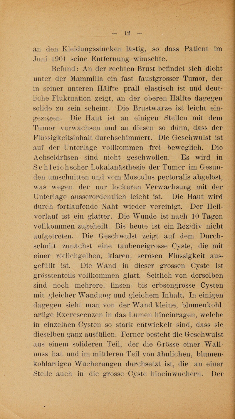 an den Kleidungsstücken lästig, so dass Patient im Juni 1901 seine Entfernung wünschte. Befund : An der rechten Brust befindet sich dicht unter der Mammilla ein fast faustgrosser Tumor, der in seiner unteren Hälfte prall elastisch ist und deut¬ liche Fluktuation zeigt, an der oberen Hälfte dagegen solide zu sein scheint. Die Brustwarze ist leicht ein¬ gezogen. Die Haut ist an einigen Stellen mit dem Tumor verwachsen und an diesen so dünn, dass der Flüssigkeitsinhalt durchschimmert. Die Geschwulst ist auf der Unterlage vollkommen frei beweglich. Die Achseldrüsen sind nicht geschwollen. Es wird in Schleich scher Lokalanästhesie der Tumor im Gesun¬ den Umschnitten und vom Musculus pectoralis abgelöst, was wegen der nur lockeren Verwachsung mit der Unterlage ausserordentlich leicht ist. Die Haut wird durch fortlaufende Naht wieder vereinigt. Der Heil¬ verlauf ist ein glatter. Die Wunde ist nach 10 Tagen vollkommen zugeheilt. Bis heute ist ein Rezidiv nicht aufgetreten. Die Geschwulst zeigt auf dem Durch¬ schnitt zunächst eine taubeneigrosse Cyste, die mit einer rötlichgelben, klaren, serösen Flüssigkeit aus¬ gefüllt ist. Die Wand in dieser grossen Cyste ist grösstenteils vollkommen glatt. Seitlich von derselben sind noch mehrere, linsen- bis erbsengrosse Cysten mit gleicher Wandung und gleichem Inhalt. In einigen dagegen sieht man von der Wand kleine, blumenkohl artige Excrescenzen in das Lumen hineinragen, welche in einzelnen Cysten so stark entwickelt sind, dass sie dieselben ganz ausfüllen. Ferner besteht die Geschwulst aus einem solideren Teil, der die Grösse einer Walk nuss hat und im mittleren Teil von ähnlichen, blumen¬ kohlartigen Wucherungen durchsetzt ist, die an einer Stelle auch in die grosse Cyste hineinwuchern. Der