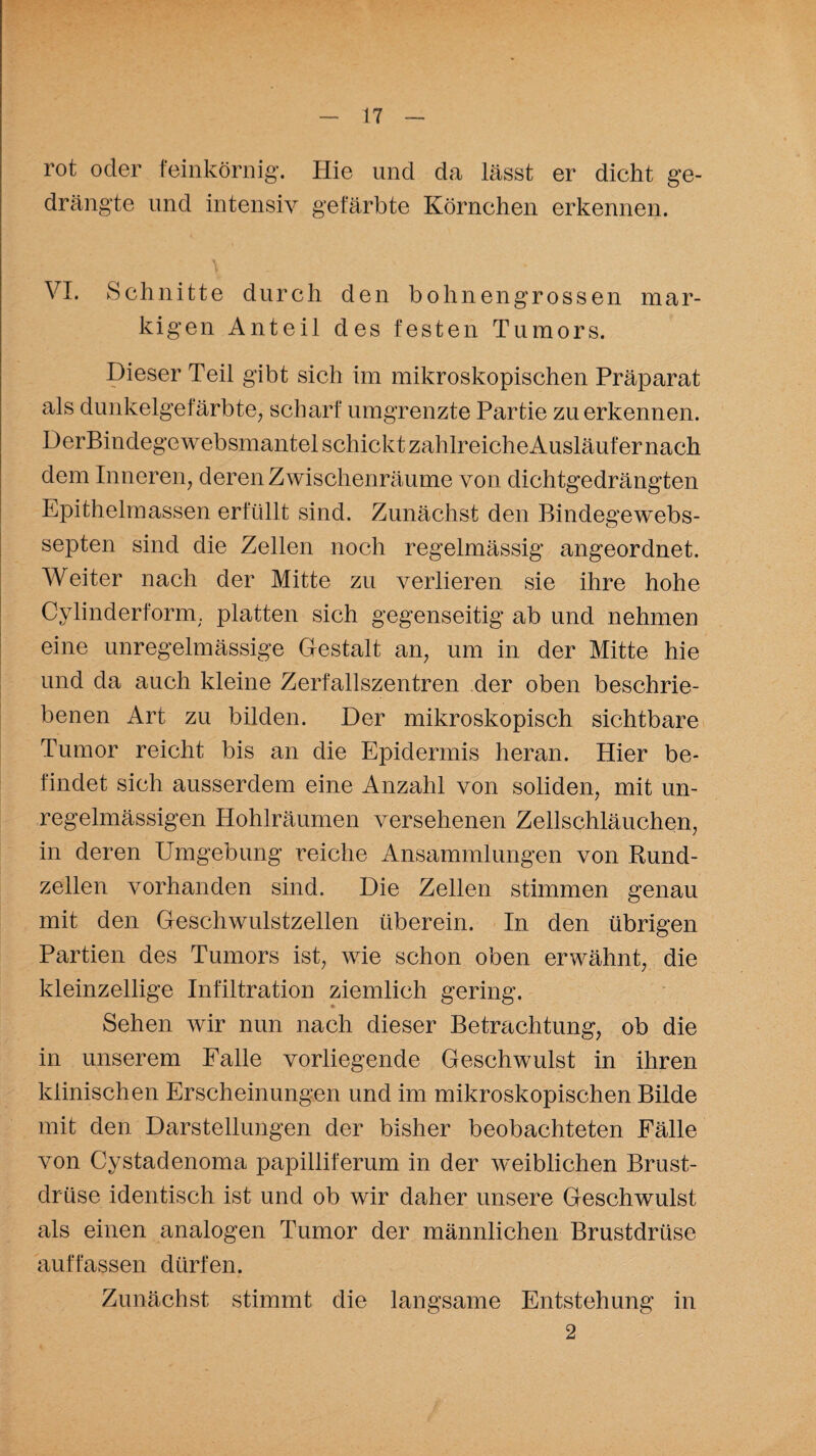 rot oder feinkörnig. Hie und da lässt er dicht ge¬ drängte und intensiv gefärbte Körnchen erkennen. VI. Schnitte durch den bohnengrossen mar¬ kigen Anteil des festen Tumors. Dieser Teil gibt sich im mikroskopischen Präparat als dunkelgefärbte, scharf umgrenzte Partie zu erkennen. DerBindegewebsmantel schickt zahlreiche Ausläufer nach dem Inneren, deren Zwischenräume von dichtgedrängten Epithelmassen erfüllt sind. Zunächst den Bindegewebs- septen sind die Zellen noch regelmässig angeordnet. Weiter nach der Mitte zu verlieren sie ihre hohe Cylinderform. platten sich gegenseitig ab und nehmen eine unregelmässige Gestalt an, um in der Mitte hie und da auch kleine Zerfallszentren der oben beschrie¬ benen Art zu bilden. Der mikroskopisch sichtbare Tumor reicht bis an die Epidermis heran. Hier be¬ findet sich ausserdem eine Anzahl von soliden, mit un¬ regelmässigen Hohlräumen versehenen Zellschläuchen, in deren Umgebung reiche Ansammlungen von Rund¬ zellen vorhanden sind. Die Zellen stimmen genau mit den Geschwulstzellen überein. In den übrigen Partien des Tumors ist, wie schon oben erwähnt, die kleinzellige Infiltration ziemlich gering. Sehen wir nun nach dieser Betrachtung, ob die in unserem Falle vorliegende Geschwulst in ihren klinischen Erscheinungen und im mikroskopischen Bilde mit den Darstellungen der bisher beobachteten Fälle von Cystadenoma papilliferum in der weiblichen Brust¬ drüse identisch ist und ob wir daher unsere Geschwulst als einen analogen Tumor der männlichen Brustdrüse auf fassen dürfen. Zunächst stimmt die langsame Entstehung in 2