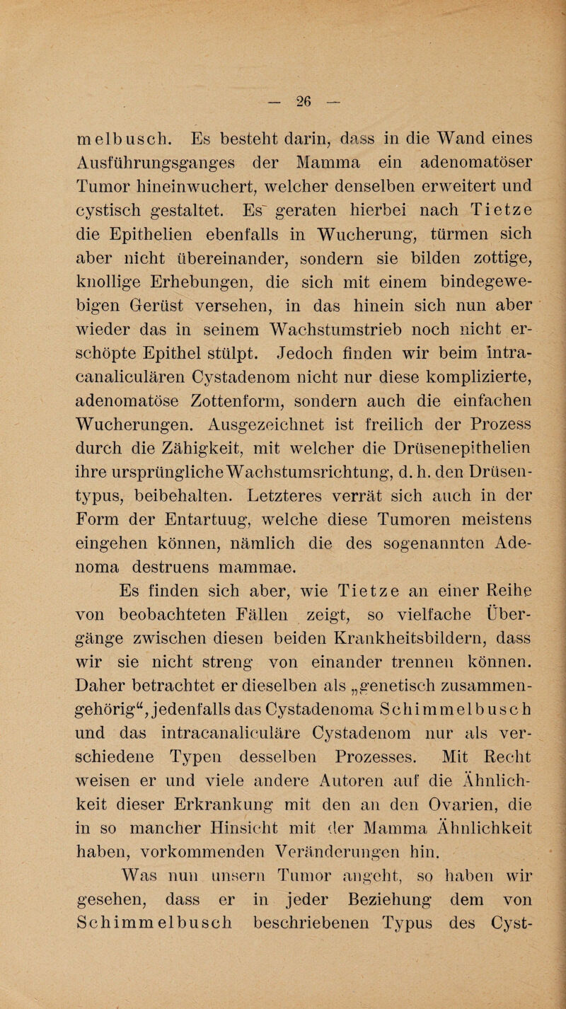 melbusch. Es besteht darin, dass in die Wand eines Ausführungsganges der Mamma ein adenomatöser Tumor hineinwuchert, welcher denselben erweitert und cystisch gestaltet. Es'geraten hierbei nach Tietze die Epithelien ebenfalls in Wucherung, türmen sich aber nicht übereinander, sondern sie bilden zottige, knollige Erhebungen, die sich mit einem bindegewe¬ bigen Gerüst versehen, in das hinein sich nun aber wieder das in seinem Wachstumstrieb noch nicht er- schöpte Epithel stülpt. Jedoch finden wir beim intra- canaliculären Cystadenom nicht nur diese komplizierte, adenomatöse Zottenform, sondern auch die einfachen Wucherungen. Ausgezeichnet ist freilich der Prozess durch die Zähigkeit, mit welcher die Drtisenepithelien ihre ursprüngliche Wachstumsrichtung, d. h. den Drüsen¬ typus, beibehalten. Letzteres verrät sich auch in der Form der Entartuug, welche diese Tumoren meistens eingehen können, nämlich die des sogenannten Ade- noma destruens mammae. Es finden sich aber, wie Tietze an einer Reihe • • von beobachteten Fällen zeigt, so vielfache Über¬ gänge zwischen diesen beiden Krankheitsbildern, dass wir sie nicht streng von einander trennen können. Daher betrachtet er dieselben als „genetisch zusammen¬ gehörig“, jedenfalls das Cystadenoma Schimmelb usch und das intracanaliculäre Cystadenom nur als ver¬ schiedene Typen desselben Prozesses. Mit Recht weisen er und viele andere Autoren auf die Ähnlich¬ keit dieser Erkrankung mit den an den Ovarien, die in so mancher Hinsicht mit der Mamma Ähnlichkeit haben, vorkommenden Veränderungen hin. Was nun unsern Tumor angeht, so haben wir gesehen, dass er in jeder Beziehung dem von Schimmelbusch beschriebenen Typus des Cyst-