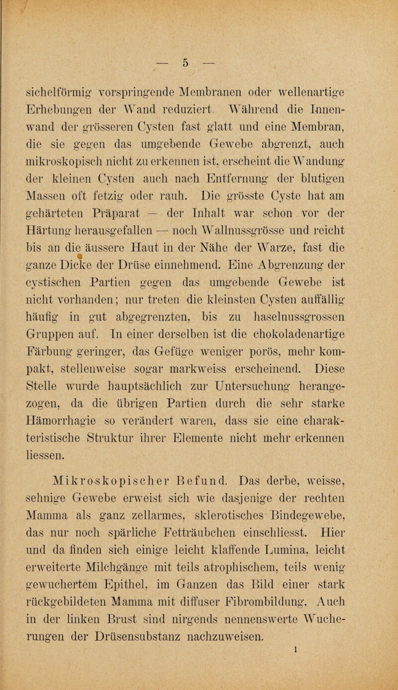 sichelförmig’ vorspring’ende Membranen oder wellenartige Erhebungen der Wand reduziert. Während die Innen¬ wand der grösseren Cysten fast glatt und eine Membran, die sie gegen das umgebende Gewebe abgrenzt, auch mikroskopiscli nicht zu erkennen ist, erscheint dieM^andung der kleinen Cysten auch nach Entfernung der blutigen Massen oft fetzig oder rauh. Die grösste Cyste hat am gehärteten Präparat — der Inhalt war schon vor der Härtung herausgefallen — noch Wallnussgrösse und reicht bis an die äussere Haut in der Nähe der Warze, fast die ganze Dicke der Drüse einnehmend. Eine Abgrenzung der cystischen Partien gegen das umgebende Gewebe ist nicht vorhanden; nur treten die kleinsten Cysten auffällig häufig in gut abgegrenzten, bis zu haselnussgrossen Gruppen auf. In einer derselben ist die chokoladenartige Färbung geringer, das Gefüge weniger porös, mehr kom¬ pakt, stellenweise sogar markweiss erscheinend. Diese Stelle wurde hauptsächlich zur Untersuchung herange¬ zogen, da die übrigen Partien durch die sehr starke Hämorrhagie so verändert waren, dass sie eine charak¬ teristische Struktur ihrer Elemente nicht mehr erkennen liessen. Mikroskopischer Befund. Das derbe, weisse, sehnige Gewebe erweist sich wie dasjenige der rechten Mamma als ganz zellarmes, sklerotisches Bindegewebe, das nur noch spärliche Fetträubchen einschliesst. Hier und da finden sich einige leicht klaffende Lumina, leicht erweiterte Milchgänge mit teils atrophischem, teils wenig gewuchertem Epithel, im Ganzen das Bild einer stark rückgebildeten Mamma mit diffuser Fibrombildung. Auch in der linken Brust sind nirgends nennenswerte Wuche¬ rungen der Drüsensubstanz nachzuweisen. 1