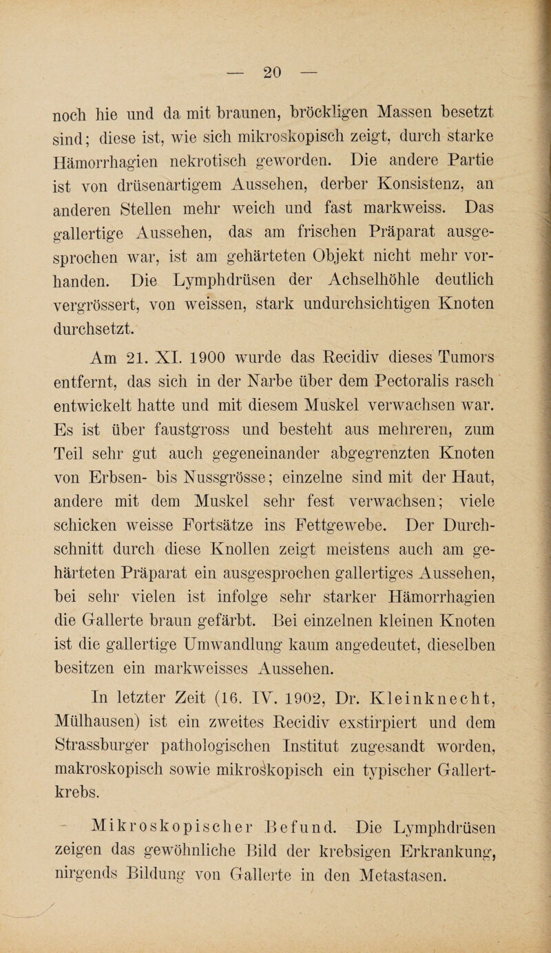 noch hie und da mit braunen, bröckligen Massen besetzt sind; diese ist, wie sich mikroskopisch zeigt, durch starke Hämorrhagien nekrotisch geworden. Die andere Partie ist von drüsenartigem Aussehen, derber Konsistenz, an anderen Stellen mehr weich und fast markweiss. Das gallertige Aussehen, das am frischen Präparat ausge¬ sprochen war, ist am gehärteten Objekt nicht mehr vor¬ handen. Die Lymphdrüsen der Achselhöhle deutlich vergrössert, von weissen, stark undurchsichtigen Knoten durchsetzt. Am 21. XI. 1900 wurde das Eecidiv dieses Tumors entfernt, das sich in der Karbe über dem Pectoralis rasch ’ entwickelt hatte und mit diesem Muskel verwachsen war. Es ist über faustgross und besteht aus mehreren, zum Teil sehr gut auch gegeneinander abgegrenzten Knoten von Erbsen- bis Kussgrösse; einzelne sind mit der Haut, andere mit dem Muskel sehr fest verwachsen; viele schicken weisse Fortsätze ins Fettgewebe. Der Durch¬ schnitt durch diese Knollen zeigt meistens auch am ge¬ härteten Präparat ein ausgesprochen gallertiges Aussehen, bei sehr vielen ist infolge sehr starker Hämorrhagien die Gallerte braun gefärbt. Bei einzelnen kleinen Knoten ist die gallertige Umwandlung kaum angedeutet, dieselben besitzen ein markweisses Aussehen. In letzter Zeit (16. lY. 1902, Dr. Kleinknecht, Mülhausen) ist ein zweites Recidiv exstirpiert und dem Strassburger pathologischen Institut zugesandt worden, makroskopisch sowie mikroskopisch ein typischer Gallert¬ krebs. Mikroskopischer Befund. Die Lymphdrüsen zeigen das gewöhnliche Bild der krebsigen Erkrankung, nirgends Bildung von Gallerte in den Metastasen.