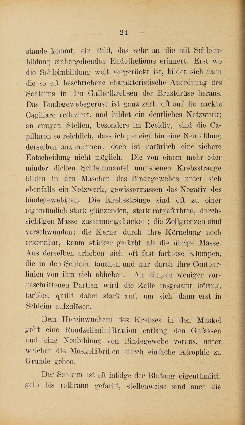 stände kommt, ein Bild, das sehr an die mit Schleim¬ bildung- einhergeh enden Endotheliome erinnert. Erst wo die Schleimhildnng weit vorgerückt ist, bildet sich dann die so oft beschriebene charakteristische Anordnung des Schleims in den Gallertkrebsen der Brustdrüse heraus. Das Bindegewehegerüst ist ganz zart, oft auf die nackte Capillare reduziert, und bildet ein deutliches Netzwerk; an einigen Stellen, besonders im Recidiv, sind die Ca- pillaren so reichlich, dass ich geneigt hin eine Neubildung derselben anzunehmen; doch ist natürlich eine sichere Entscheidung nicht möglich. Die von einem mehr oder minder dicken Schleimmantel umgebenen Krebsstränge bilden in den Maschen des Bindegewebes unter sich ebenfalls ein Netzwerk, gewissermassen das Negativ des bindegewebigen. Die Krebsstränge sind oft zu einer eigentümlich stark glänzenden, stark rotgefärbten, durch¬ sichtigen Masse zusammengebacken; die Zellgrenzen sind verschwunden; die Kerne durch ihre Körnelung noch erkennbar, kaum stärker gefärbt als die übrige Masse. Aus derselben erheben sich oft fast farblose Klumpen, die in den Schleim tauchen und nur durch ihre Contour- linien von ihm sich abheben. An einigen weniger vor¬ geschrittenen Partien wird die Zelle insgesamt körnig, farblos, quillt dabei stark auf, um sich dann erst in Schleim aufzulösen. Dem Hereinwuchern des Krebses in den Muskel geht eine Rundzelleninfiltration entlang den Gefässen und eine Neubildung von Bindegewebe voraus, unter welchen die Muskelfibrillen durch einfache Atrophie zu Grunde gehen. Der Schleim ist oft infolge der Blutung eigentümlich gelb bis rotbraun gefärbt, stellenweise sind auch die