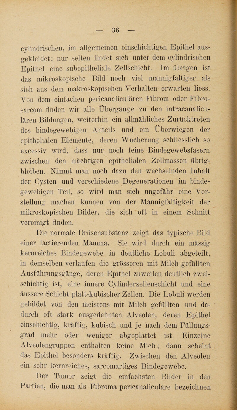 cylindrischen, im allgemeinen einscliiehfcigen Epithel ans¬ gekleidet; nur selten findet sich unter dem c^dindrischen Epithel eine suhepitheliale Zellschicht. Im ührigen ist das mikroskopische Bild noch viel mannigfaltiger als sich aus dem makroskopischen Yerhalten erwarten liess. Yon dem einfachen pericanaliculären Fibrom oder Fibro- sarcom finden wir alle Übergänge zu den intracanalicn- lären Bildungen, weiterhin ein allmähliches Znrücktreten des bindegewebigen Anteils und ein Überwiegen der epithelialen Elemente, deren Wucherung schliesslich so excessiv wird, dass nur noch feine Bindegewebsfasern zwischen den mächtigen epithelialen Zellmassen übrig¬ bleiben. Nimmt man noch dazu den wechselnden Inhalt der Cysten und verschiedene Degenerationen im binde¬ gewebigen Teil, so wird man sich ungefähr eine Yor- stellung machen können von der Mannigfaltigkeit der mikroskopischen Bilder, die sich oft in einem Schnitt vereinigt finden. Die normale Drüsensubstanz zeigt das typische Bild einer lactierenden Mamma. Sie wird durch ein mässig kernreiches Bindegewebe in deutliche Lobuli abgeteilt, in demselben verlaufen die grösseren mit Milch gefüllten Ausführnngsgänge, deren Epithel zuweilen deutlich zwei¬ schichtig ist, eine innere Cylinderzellenschicht und eine äussere Schicht platt-kubischer Zellen. Die Lobuli werden gebildet von den meistens mit Milch gefüllten und da¬ durch oft stark ausgedehnten Alveolen, deren Epithel einschichtig, kräftig, kubisch und je nach dem Füllnngs- grad mehr oder weniger abgeplattet ist. Einzelne Alveolengruppen enthalten keine Mich; dann scheint . das Epithel besonders kräftig. Zwischen den Alveolen ein sehr kernreiches, sarcomartiges Bindegewebe. Der Tumor zeigt die einfachsten Bilder in den Partien, die man als Fibroma pericanalicnlare bezeichnen