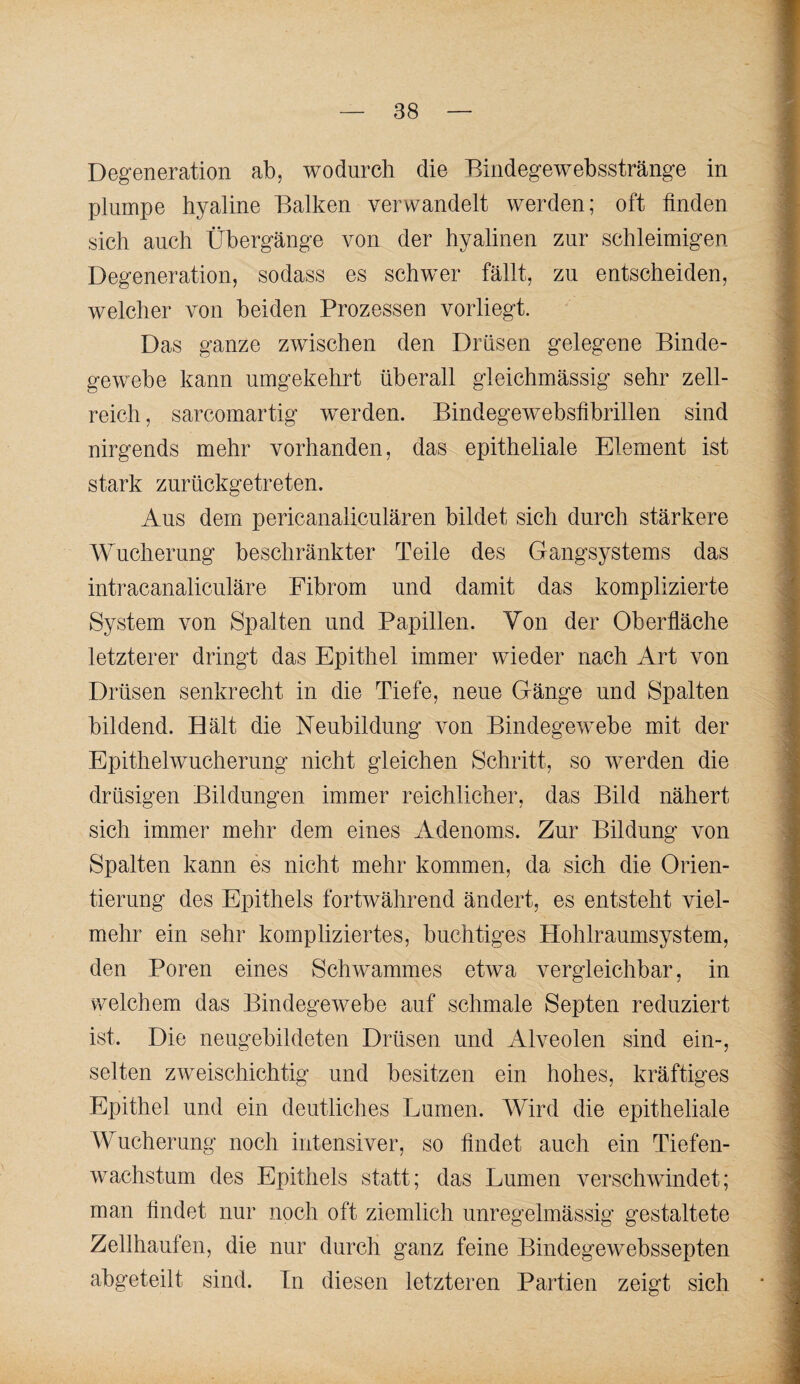 Degeneration ab, wodurch die Bindegewebsstränge in plumpe hyaline Balken verwandelt werden; oft linden sich auch Übergänge von der hyalinen zur schleimigen Degeneration, sodass es schwer fällt, zu entscheiden, welcher von beiden Prozessen vorliegt. Das ganze zwischen den Drüsen gelegene Binde¬ gewebe kann umgekehrt überall gleichmässig sehr zell¬ reich , sarcomartig wmrden. Bindegewebslibrillen sind nirgends mehr vorhanden, das epitheliale Element ist stark zurückgetreten. Aus dem pericanaliculären bildet sich durch stärkere Wucherung beschränkter Teile des Gangsystems das intracanaliculäre Fibrom und damit das komplizierte System von Spalten und Papillen. Von der Oberfläche letzterer dringt das Epithel immer wieder nach Art von Drüsen senkrecht in die Tiefe, neue Gänge und Spalten bildend. Hält die Neubildung von Bindegewebe mit der Epithelwucherung nicht gleichen Schritt, so werden die drüsigen Bildungen immer reichlicher, das Bild nähert sich immer mehr dem eines Adenoms. Zur Bildung von Spalten kann es nicht mehr kommen, da sich die Orien¬ tierung des Epithels fortwährend ändert, es entsteht viel¬ mehr ein sehr kompliziertes, buchtiges Hohlraumsystem, den Poren eines Schwammes etwa vergleichbar, in welchem das Bindegewebe auf schmale Septen reduziert ist. Die neugebildeten Drüsen und Alveolen sind ein-, selten zweischichtig und besitzen ein hohes, kräftiges Epithel und ein deutliches Lumen. Wird die epitheliale Wucherung noch intensiver, so findet auch ein Tiefen¬ wachstum des Epithels statt; das Lumen verschwindet; man findet nur noch oft ziemlich unregelmässig gestaltete Zellhaufen, die nur durch ganz feine Bindegewebssepten abgeteilt sind. Tn diesen letzteren Partien zeigt sich