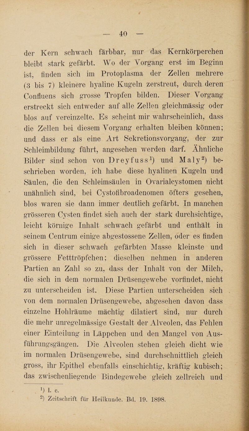 der Kern schwach färbbar, nur das Kernkörperchen bleibt stark gefärbt. Wo der Vorgang erst im Beginn ist, finden sich im Protoplasma der Zellen mehrere (3 bis 7) kleinere hyaline Kugeln zerstreut, durch deren Conlinens sich grosse Tropfen bilden. Dieser Vorgang erstreckt sich entweder auf alle Zellen gleichmässig oder blos auf vereinzelte. Es scheint mir v/ahrseheinlich, dass die Zellen bei diesem Vorgang erhalten bleiben können; und dass er als eine Art Sekretionsvorgang, der zur Schleimbildnng führt, angesehen werden darf. Ähnliche Bilder sind schon von Dreyfuss^) und Maly^) be¬ schrieben worden, ich habe diese hyalinen Kugeln und Säulen, die den Schleimsäulen in Ovarialcystomen nicht unähnlich sind, bei Cystolibroadenomen öfters gesehen, blos waren sie dann immer deutlich gefärbt. In manchen grösseren Cysten findet sich auch der stark durchsichtige, leicht körnige Inhalt schwach gefärbt und enthält in seinem Centrum einige abgestossene Zellen, oder es finden sich in dieser schwach gefärbten Masse kleinste und grössere Fetttröpfchen; dieselben nehmen in anderen Partien an Zahl so zu, dass der Inhalt von der Milch, die sich in dem normalen Drüsengewebe vorfindet, nicht zu unterscheiden ist. Diese Partien unterscheiden sich von dem normalen Drüsengewebe, abgesehen davon dass einzelne Hohlräume mächtig dilatiert sind, nur durch die mehr unregelmässige Gestalt der Alveolen, das Fehlen einer Einteilung in Läppchen und den Mangel von Aus¬ führungsgängen. Die Alveolen stehen gleich dicht wie im normalen Drüsengewebe, sind durchschnittlich gleich gross, ihr Epithel ebenfalls einschichtig, kräftig kubisch; das zwischenliegende Bindegewebe gleich zellreich und b 1. c. b Zeitschrift für Heilkunde. Bd. 19. 1898.