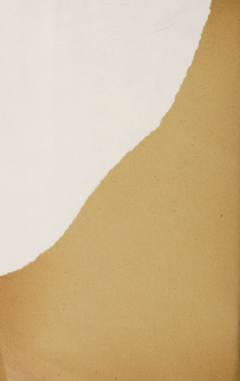 ■ . -,,*■ \ ■ :;, ■ . ' -r j;.S.-■ ':^ V ■ . .