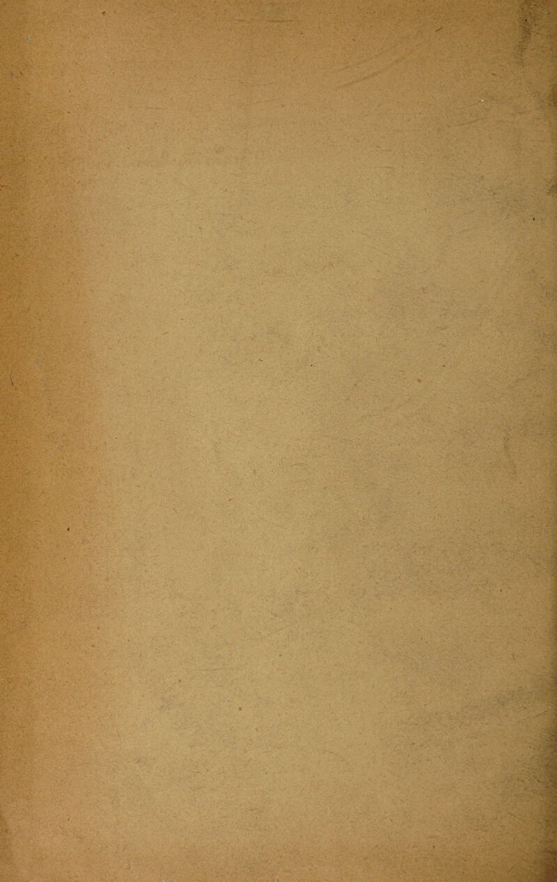 . -■< :*■ ' 7 f>. S'1