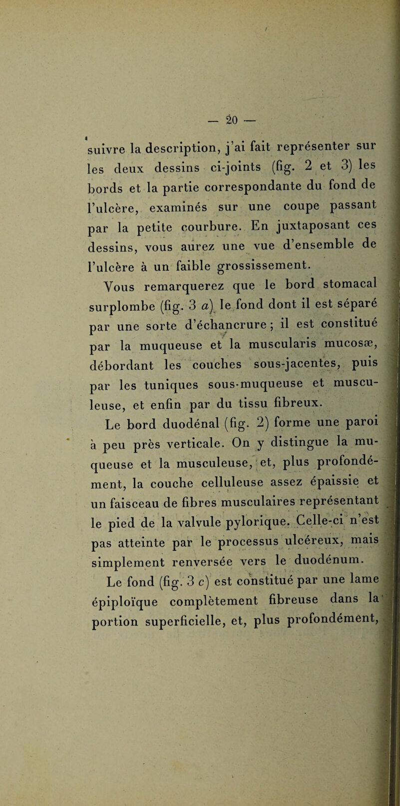 — âo suivre 1b. description, j ai fait représenter sur les deux dessins ci-joints (fig. 2 et 3) les bords et la partie correspondante du fond de l’ulcère, examinés sur une coupe passant par la petite courbure. En juxtaposant ces dessins, vous aurez une vue d ensemble de l’ulcère à un faible grossissement. Vous remarquerez que le bord stomacal surplombe (fig* 3 a] le fond dont il est séparé par une sorte d’échancrure ; il est constitué par la muqueuse et la muscularis mucosæ, débordant les couches sous-jacentes, puis par les tuniques sous-muqueuse et muscu¬ leuse, et enfin par du tissu fibreux. Le bord duodénal (fig. 2) forme une paroi à peu près verticale. On y distingue la mu¬ queuse et la musculeuse, et, plus profondé¬ ment, la couche celluleuse assez épaissie et un faisceau de fibres musculaires représentant le pied de la valvule pylorique. Celle-ci n est pas atteinte par le processus ulcéreux, mais simplement renversée vers le duodénum. Le fond (fig- 3 c) est constitué par une lame épiploïque complètement fibreuse dans la portion superficielle, et, plus profondément,