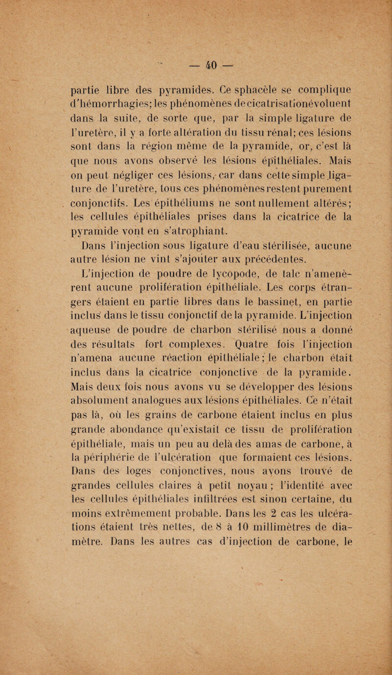 partie libre des pyramides. Ce sphacèle se complique d'hémorrhagies; les phénomènes decicatrisationévoluent dans la suite, de sorte que, par la simple ligature de Furetère, il y a forte altération du tissu rénal; ces lésions sont dans la région même de la pyramide, or, c'est là que nous avons observé les lésions épithéliales. Mais on peut négliger ces lésions, car dans cette simple liga¬ ture de Furetère, tous ces phénomènes restent purement conjonctifs. Les épithéliums ne sont nullement altérés; les cellules épithéliales prises dans la cicatrice de la pyramide vont en s'atrophiant. Dans l'injection sous ligature d'eau stérilisée, aucune autre lésion ne vint s'ajouter aux précédentes. L'injection de poudre de lycopode, de talc n’amenè¬ rent aucune prolifération épithéliale. Les corps étran¬ gers étaient en partie libres dans le bassinet, en partie inclus dans le tissu conjonctif delà pyramide. L'injection aqueuse de poudre de charbon stérilisé nous a donné des résultats fort complexes. Quatre fois l'injection n'amena aucune réaction épithéliale ; le charbon était inclus dans la cicatrice conjonctive de la pyramide. Mais deux fois nous avons vu se développer des lésions absolument analogues aux lésions épithéliales. Ce n’était pas là, où les grains de carbone étaient inclus en plus grande abondance qu’existait ce tissu de prolifération épithéliale, mais un peu au delà des amas de carbone, à la périphérie de l'ulcération que formaient ces lésions. Dans des loges conjonctives, nous avons trouvé de grandes cellules claires à petit noyau ; l'identité avec les cellules épithéliales infiltrées est sinon certaine, du moins extrêmement probable. Dans les 2 cas les ulcéra¬ tions étaient très nettes, de 8 à 10 millimètres de dia¬ mètre. Dans les autres cas d'injection de carbone, le