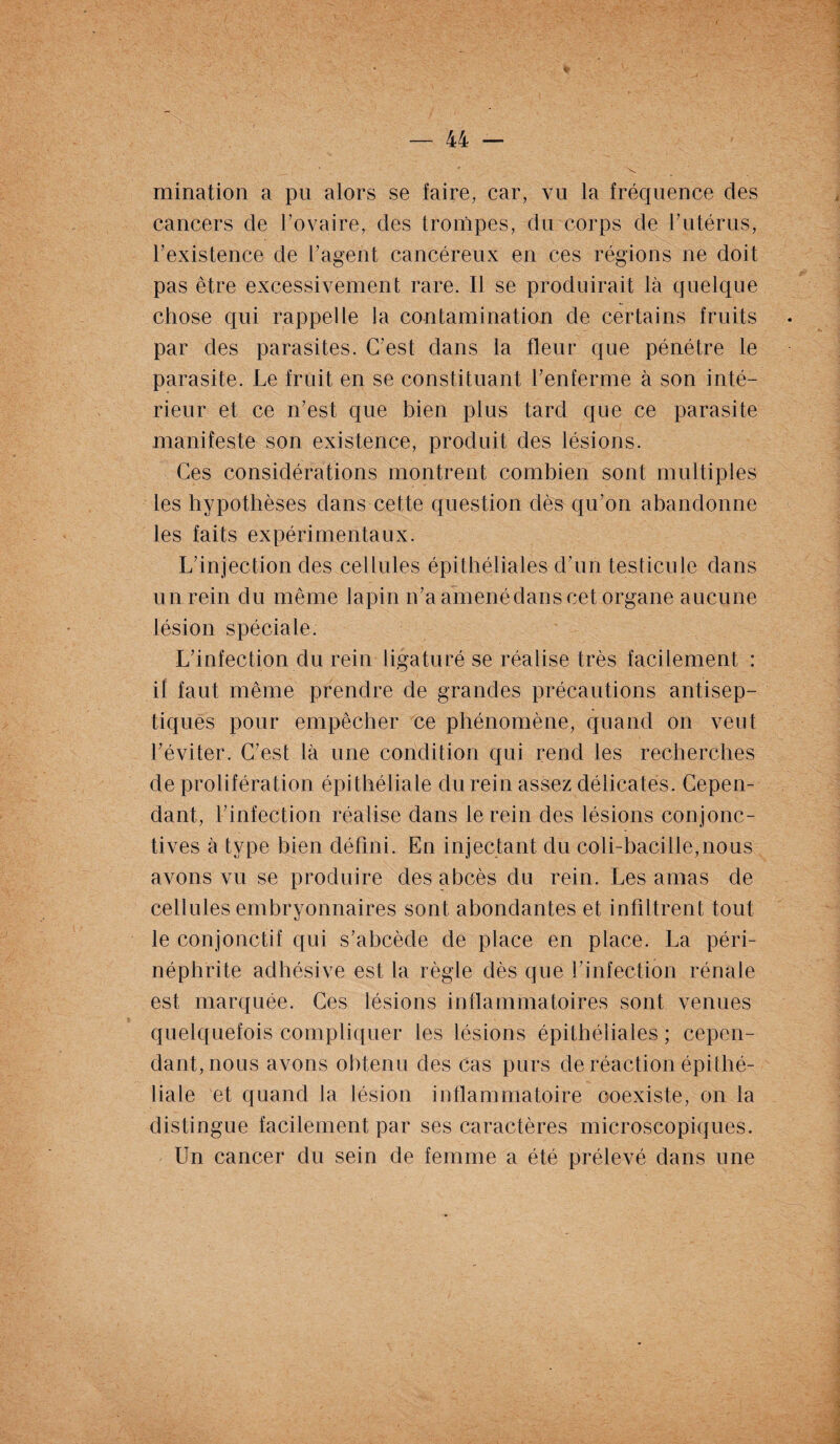 mination a pu alors se faire, car; vu la fréquence des cancers de l’ovaire, des trompes, du corps de l’utérus, l’existence de l’agent cancéreux en ces régions ne doit pas être excessivement rare. Il se produirait là quelque chose qui rappelle la contamination de certains fruits par des parasites. C’est dans la fleur que pénétre le parasite. Le fruit en se constituant renferme à son inté¬ rieur et ce n’est que bien plus tard que ce parasite manifeste son existence, produit des lésions. Ces considérations montrent combien sont multiples les hypothèses dans cette question dès qu’on abandonne les faits expérimentaux. L’injection des cellules épithéliales d’un testicule dans un rein du même lapin n’a amené dans cet organe aucune lésion spéciale. L’infection du rein ligaturé se réalise très facilement : il faut même prendre de grandes précautions antisep¬ tiques pour empêcher ce phénomène, quand on veut l’éviter. C’est là une condition qui rend les recherches de prolifération épithéliale du rein assez délicates. Cepen¬ dant, l’infection réalise dans le rein des lésions conjonc¬ tives à type bien défini. En injectant du coli-bacille,nous avons vu se produire des abcès du rein. Les amas de cellules embryonnaires sont abondantes et infdtrent tout le conjonctif qui s’abcède de place en place. La péri- néphrite adhésive est la règle dès que l’infection rénale est marquée. Ces lésions inflammatoires sont venues quelquefois compliquer les lésions épithéliales ; cepen¬ dant, nous avons obtenu des cas purs de réaction épithé¬ liale et quand la lésion inflammatoire coexiste, on la distingue facilement par ses caractères microscopiques. Un cancer du sein de femme a été prélevé dans une