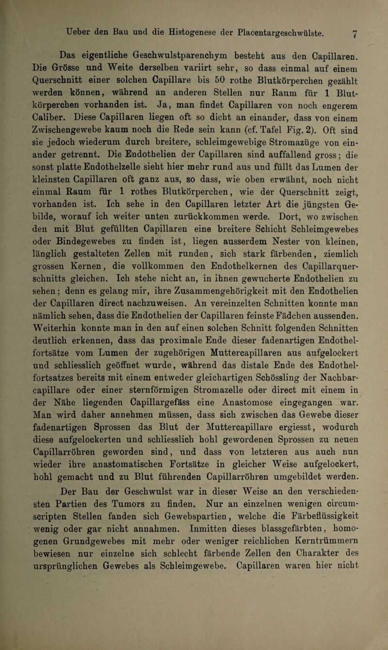 Das eigentliche Geschwulstparenchym besteht aus den Capillaren. Die Grösse und Weite derselben variirt sehr, so dass einmal auf einem Querschnitt einer solchen Capillare bis 50 rothe Blutkörperchen gezählt werden können, während an anderen Stellen nur Raum für 1 Blut¬ körperchen vorhanden ist. Ja, man findet Capillaren von noch engerem Caliber. Diese Capillaren liegen oft so dicht an einander, dass von einem Zwischengewebe kaum noch die Rede sein kann (cf. Tafel Fig. 2). Oft sind sie jedoch wiederum durch breitere, schleimgewebige Stromazüge von ein¬ ander getrennt. Die Endothelien der Capillaren sind auffallend gross; die sonst platte Endothelzelle sieht hier mehr rund aus und füllt das Lumen der kleinsten Capillaren oft ganz aus, so dass, wie oben erwähnt, noch nicht einmal Raum für 1 rothes Blutkörperchen, wie der Querschnitt zeigt, vorhanden ist. Ich sehe in den Capillaren letzter Art die jüngsten Ge¬ bilde, worauf ich weiter unten zurückkommen werde. Dort, wo zwischen den mit Blut gefüllten Capillaren eine breitere Schicht Schleimgewebes oder Bindegewebes zu finden ist, liegen ausserdem Nester von kleinen, länglich gestalteten Zellen mit runden, sich stark färbenden, ziemlich grossen Kernen, die vollkommen den Endothelkernen des Capillarquer- schnitts gleichen. Ich stehe nicht an, in ihnen gewucherte Endothelien zu sehen; denn es gelang mir, ihre Zusammengehörigkeit mit den Endothelien der Capillaren direct nachzuweisen. An vereinzelten Schnitten konnte man nämlich sehen, dass die Endothelien der Capillaren feinste Fädchen aussenden. Weiterhin konnte man in den auf einen solchen Schnitt folgenden Schnitten deutlich erkennen, dass das proximale Ende dieser fadenartigen Endothel¬ fortsätze vom Lumen der zugehörigen Muttercapillaren aus aufgelockert und schliesslich geöffnet wurde, während das distale Ende des Endothel¬ fortsatzes bereits mit einem entweder gleichartigen Schössling der Nachbar- capillare oder einer sternförmigen Stromazelle oder direct mit einem in der Nähe liegenden Capillargefäss eine Anastomose eingegangen war. Man wird daher annehmen müssen, dass sich zwischen das Gewebe dieser fadenartigen Sprossen das Blut der Muttercapillare ergiesst, wodurch diese aufgelockerten und schliesslich hohl gewordenen Sprossen zu neuen Capillarröhren geworden sind, und dass von letzteren aus auch nun wieder ihre anastomatischen Fortsätze in gleicher Weise aufgelockert, hohl gemacht und zu Blut führenden Capillarröhren umgebildet werden. Der Bau der Geschwulst war in dieser Weise an den verschieden¬ sten Partien des Tumors zu finden. Nur an einzelnen wenigen circum- scripten Stellen fanden sich Gewebspartien, welche die Färbeflüssigkeit wenig oder gar nicht annahmen. Inmitten dieses blassgefärbten, homo¬ genen Grundgewebes mit mehr oder weniger reichlichen Kerntrümmern bewiesen nur einzelne sich schlecht färbende Zellen den Charakter des ursprünglichen Gewebes als Schleimgewebe. Capillaren waren hier nicht