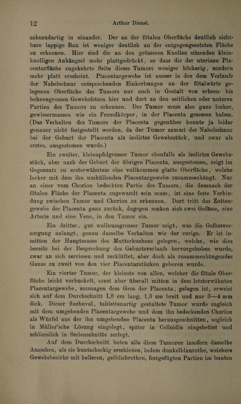 zahnradartig in einander. Der an der fötalen Oberfläche deutlich sicht¬ bare lappige Bau ist weniger deutlich an der entgegengesetzten Fläche zu erkennen. Hier sind die an den grösseren Knollen sitzenden klein¬ knolligen Anhängsel mehr plattgedrückt, so dass die der uterinen Pla- centarfläche zugekehrte Seite dieses Tumors weniger höckerig, sondern mehr platt erscheint. Placentargewebe ist ausser in den dem Verlaufe der Nabelschnur entsprechenden Einkerbungen an der fötalwärts ge¬ legenen Oberfläche des Tumors nur noch in Gestalt von erbsen- bis bohnengrossen Gewebsfetzen hier und dort an den seitlichen oder unteren Partien des Tumors zu erkennen. Der Tumor muss also ganz locker, gewissermassen wie ein Fremdkörper, in der Placenta gesessen haben. (Das Verhalten des Tumors der Placenta gegenüber konnte ja leider genauer nicht festgestellt werden, da der Tumor sammt der Nabelschnur bei der Geburt der Placenta als isolirtes Gewebsstück, und zwar als erstes, ausgestossen wurde.) Ein zweiter, kleinapfelgrosser Tumor ebenfalls als isolirtes Gewebs¬ stück, aber nach der Geburt der übrigen Placenta, ausgestossen, zeigt im Gegensatz zu ersterwähntem eine vollkommen glatte Oberfläche, welche locker mit dem ihn umhüllenden Placentargewebe zusammenhängt. Nur an einer vom Chorion bedeckten Partie des Tumors, die demnach der fötalen Fläche der Placenta zugewandt sein muss, ist eine feste Verbin¬ dung zwischen Tumor und Chorion zu erkennen. Dort tritt das Zotten¬ gewebe der Placenta ganz zurück, dagegen senken sich zwei Gefässe, eine Arterie und eine Vene, in den Tumor ein. Ein dritter, gut wallnussgrosser Tumor zeigt, was die Gefässver- sorgung anlangt, genau dasselbe Verhalten wie der vorige. Er ist in¬ mitten der Hauptmasse des Mutterkuchens gelegen, welche, wie dies bereits bei der Besprechung des Geburtsverlaufs hervorgehoben wurde, zwar an sich zerrissen und zerklüftet, aber doch als zusammenhängendes Ganze zu zweit von den vier Placentarstücken geboren wurde. Ein vierter Tumor, der kleinste von allen, welcher die fötale Ober¬ fläche leicht vorbuckelt, sonst aber überall mitten in dem letzterwähnten Placentargewebe, sozusagen dem Gros der Placenta, gelegen ist, erweist sich auf dem Durchschnitt 1,8 cm lang, 1,3 cm breit und nur 3—4 mm dick. Dieser flachoval, tablettenartig gestaltete Tumor wurde zugleich mit dem umgebenden Placentargewebe und dem ihn bedeckenden Chorion als Würfel aus der ihn umgebenden Placenta herausgeschnitten, sogleich in Müller’sche Lösung eingelegt, später in Celloidin eingebettet und schliesslich in Serienschnitte zerlegt. Auf dem Durchschnitt boten alle diese Tumoren insofern dasselbe Aussehen, als sie buntscheckig erschienen, indem dunkelblaurothe, weichere Gewebsbezirke mit helleren, gelblichrothen, festgefügten Partien im bunten