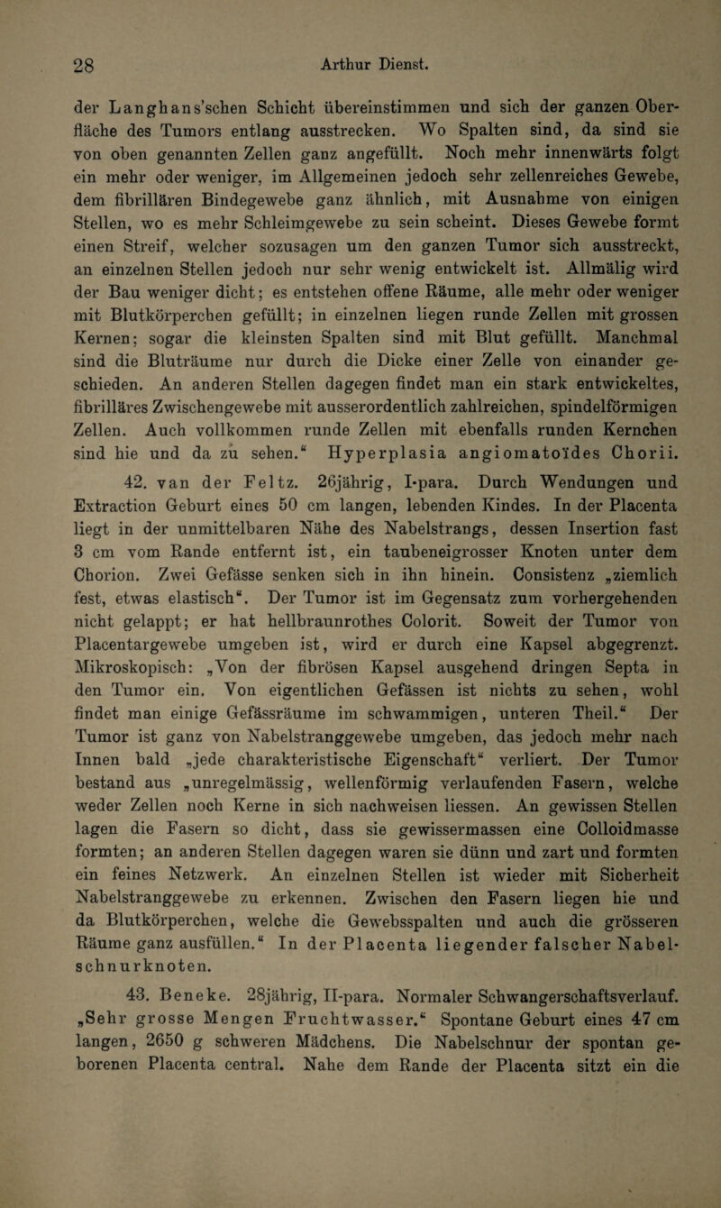 der Langhans’schen Schicht übereinstimmen und sich der ganzen Ober¬ fläche des Tumors entlang ausstrecken. Wo Spalten sind, da sind sie von oben genannten Zellen ganz angefüllt. Noch mehr innenwärts folgt ein mehr oder weniger, im Allgemeinen jedoch sehr zellenreiches Gewebe, dem fibrillären Bindegewebe ganz ähnlich, mit Ausnahme von einigen Stellen, wo es mehr Schleimgewebe zu sein scheint. Dieses Gewebe formt einen Streif, welcher sozusagen um den ganzen Tumor sich ausstreckt, an einzelnen Stellen jedoch nur sehr wenig entwickelt ist. Allmälig wird der Bau weniger dicht; es entstehen offene Räume, alle mehr oder weniger mit Blutkörperchen gefüllt; in einzelnen liegen runde Zellen mit grossen Kernen; sogar die kleinsten Spalten sind mit Blut gefüllt. Manchmal sind die Bluträume nur durch die Dicke einer Zelle von einander ge¬ schieden. An anderen Stellen dagegen findet man ein stark entwickeltes, fibrilläres Zwischengewebe mit ausserordentlich zahlreichen, spindelförmigen Zellen. Auch vollkommen runde Zellen mit ebenfalls runden Kernchen sind hie und da zu sehen.“ Hyperplasia angiomato'ides Chorii. 42. van der Feltz. 26jährig, I-para. Durch Wendungen und Extraction Geburt eines 50 cm langen, lebenden Kindes. In der Placenta liegt in der unmittelbaren Nähe des Nabelstrangs, dessen Insertion fast 3 cm vom Rande entfernt ist, ein taubeneigrosser Knoten unter dem Chorion. Zwei Gefässe senken sich in ihn hinein. Consistenz „ziemlich fest, etwas elastisch“. Der Tumor ist im Gegensatz zum vorhergehenden nicht gelappt; er hat hellbraunrothes Colorit. Soweit der Tumor von Placentargewebe umgeben ist, wird er durch eine Kapsel abgegrenzt. Mikroskopisch: „Von der fibrösen Kapsel ausgehend dringen Septa in den Tumor ein. Von eigentlichen Gefässen ist nichts zu sehen, wohl findet man einige Gefässräume im schwammigen, unteren Theil.“ Der Tumor ist ganz von Nabelstranggewebe umgeben, das jedoch mehr nach Innen bald „jede charakteristische Eigenschaft“ verliert. Der Tumor bestand aus „unregelmässig, wellenförmig verlaufenden Fasern, welche weder Zellen noch Kerne in sich nachweisen Hessen. An gewissen Stellen lagen die Fasern so dicht, dass sie gewissermassen eine Colloidmasse formten; an anderen Stellen dagegen waren sie dünn und zart und formten ein feines Netzwerk. An einzelnen Stellen ist wieder mit Sicherheit Nabelstranggewebe zu erkennen. Zwischen den Fasern liegen hie und da Blutkörperchen, welche die Gewebsspalten und auch die grösseren Räume ganz ausfüllen.“ In der Placenta liegender falscher Nabel¬ schnurknoten. 43. Beneke. 28jährig, II-para. Normaler Schwangerschaftsverlauf. „Sehr grosse Mengen Fruchtwasser.“ Spontane Geburt eines 47 cm langen, 2650 g schweren Mädchens. Die Nabelschnur der spontan ge¬ borenen Placenta central. Nahe dem Rande der Placenta sitzt ein die