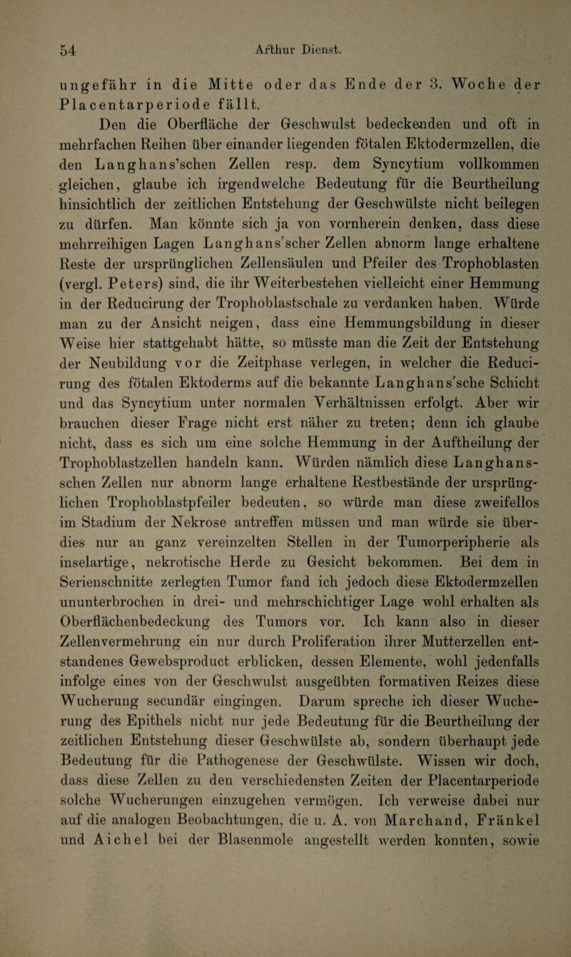 ungefähr in die Mitte oder das Ende der 3. Woche der Placentarperiode fällt. Den die Oberfläche der Geschwulst bedeckenden und oft in mehrfachen Reihen über einander liegenden fötalen Ektodermzellen, die den Langhans’schen Zellen resp. dem Syncytium vollkommen gleichen, glaube ich irgendwelche Bedeutung für die Beurtheilung hinsichtlich der zeitlichen Entstehung der Geschwülste nicht beilegen zu dürfen. Man könnte sich ja von vornherein denken, dass diese mehrreihigen Lagen Langhans’scher Zellen abnorm lange erhaltene Reste der ursprünglichen Zellensäulen und Pfeiler des Trophoblasten (vergl. Peters) sind, die ihr Weiterbestehen vielleicht einer Hemmung in der Reducirung der Trophoblastschale zu verdanken haben. Würde man zu der Ansicht neigen, dass eine Hemmungsbildung in dieser Weise hier stattgehabt hätte, so müsste man die Zeit der Entstehung der Neubildung vor die Zeitphase verlegen, in welcher die Reduci¬ rung des fötalen Ektoderms auf die bekannte Langhans'sche Schicht und das Syncytium unter normalen Verhältnissen erfolgt. Aber wir brauchen dieser Frage nicht erst näher zu treten; denn ich glaube nicht, dass es sich um eine solche Hemmung in der Auftheilung der Trophoblastzellen handeln kann. Würden nämlich diese Langhans- schen Zellen nur abnorm lange erhaltene Restbestände der Ursprünge liehen Trophoblastpfeiler bedeuten, so würde man diese zweifellos im Stadium der Nekrose antreffen müssen und man würde sie über¬ dies nur an ganz vereinzelten Stellen in der Tumorperipherie als inselartige, nekrotische Herde zu Gesicht bekommen. Bei dem in Serienschnitte zerlegten Tumor fand ich jedoch diese Ektodermzellen ununterbrochen in drei- und mehrschichtiger Lage wohl erhalten als Oberflächenbedeckung des Tumors vor. Ich kann also in dieser Zellenvermehrung ein nur durch Proliferation ihrer Mutterzellen ent¬ standenes Gewebsproduct erblicken, dessen Elemente, wohl jedenfalls infolge eines von der Geschwulst ausgeübten formativen Reizes diese Wucherung secundär eingingen. Darum spreche ich dieser Wuche¬ rung des Epithels nicht nur jede Bedeutung für die Beurtheilung der zeitlichen Entstehung dieser Geschwülste ab, sondern überhaupt jede Bedeutung für die Pathogenese der Geschwülste. Wissen wir doch, dass diese Zellen zu den verschiedensten Zeiten der Placentarperiode solche Wucherungen einzugehen vermögen. Ich verweise dabei nur auf die analogen Beobachtungen, die u. A. von March and, Fränkel und Aichel bei der Blasenmole angestellt werden konnten, sowie